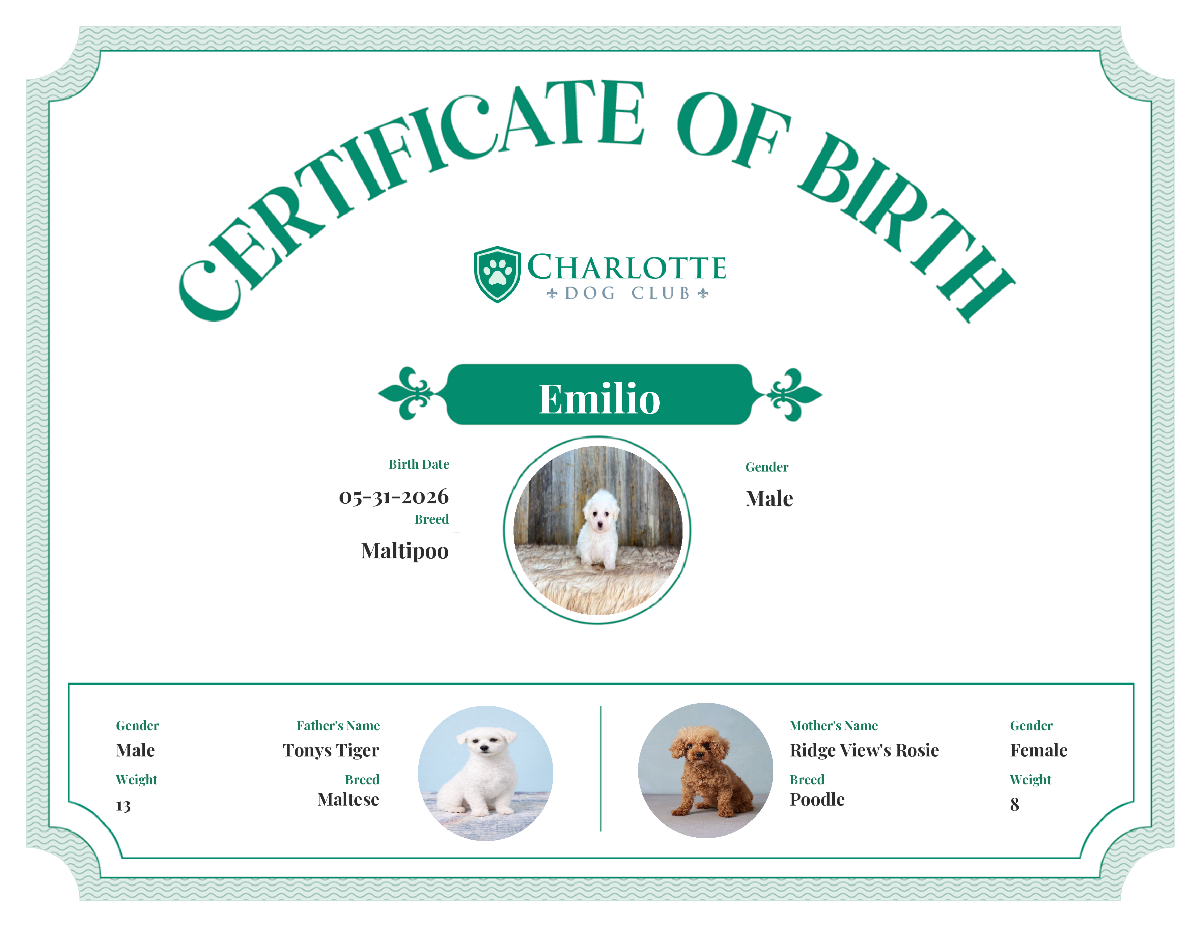 Emilio's Birth Certificate