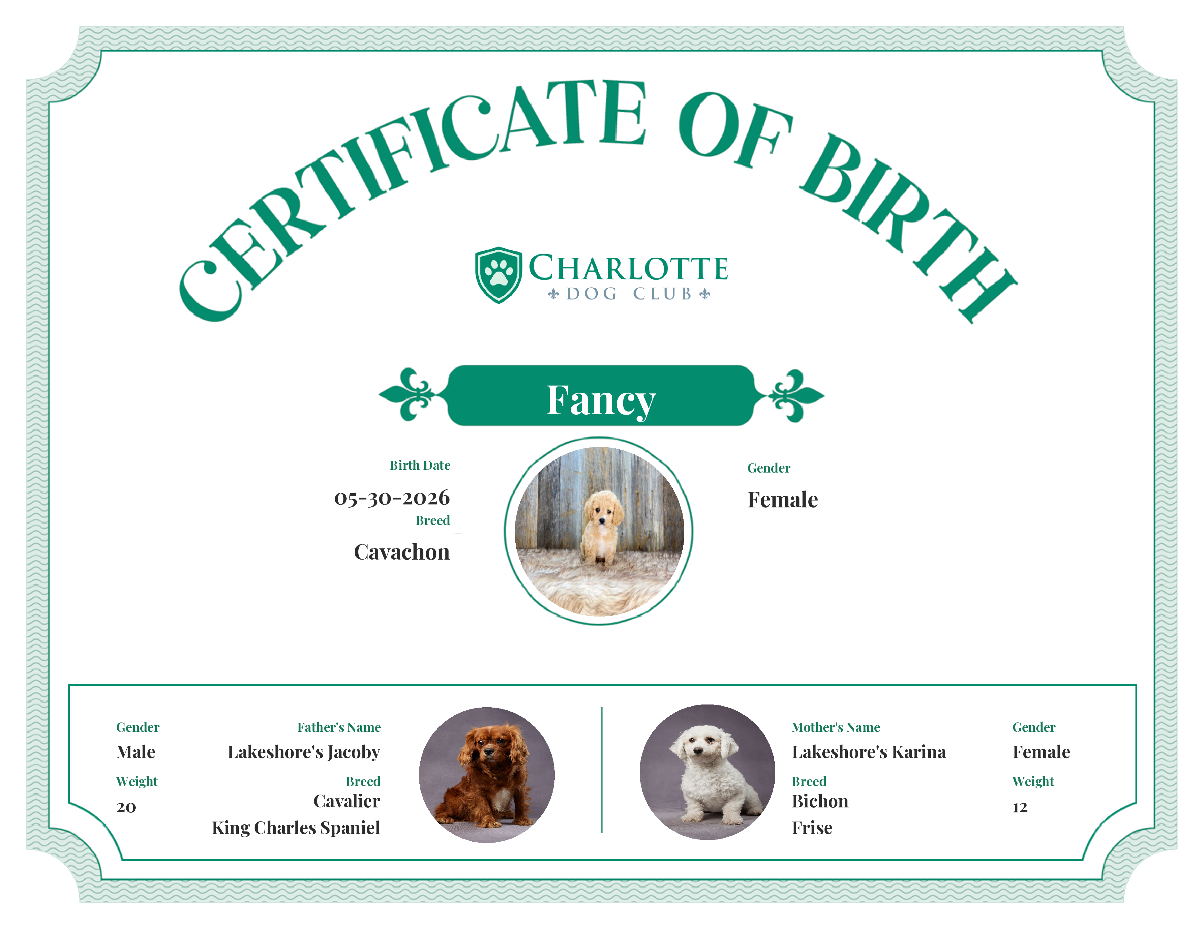 Fancy's Birth Certificate
