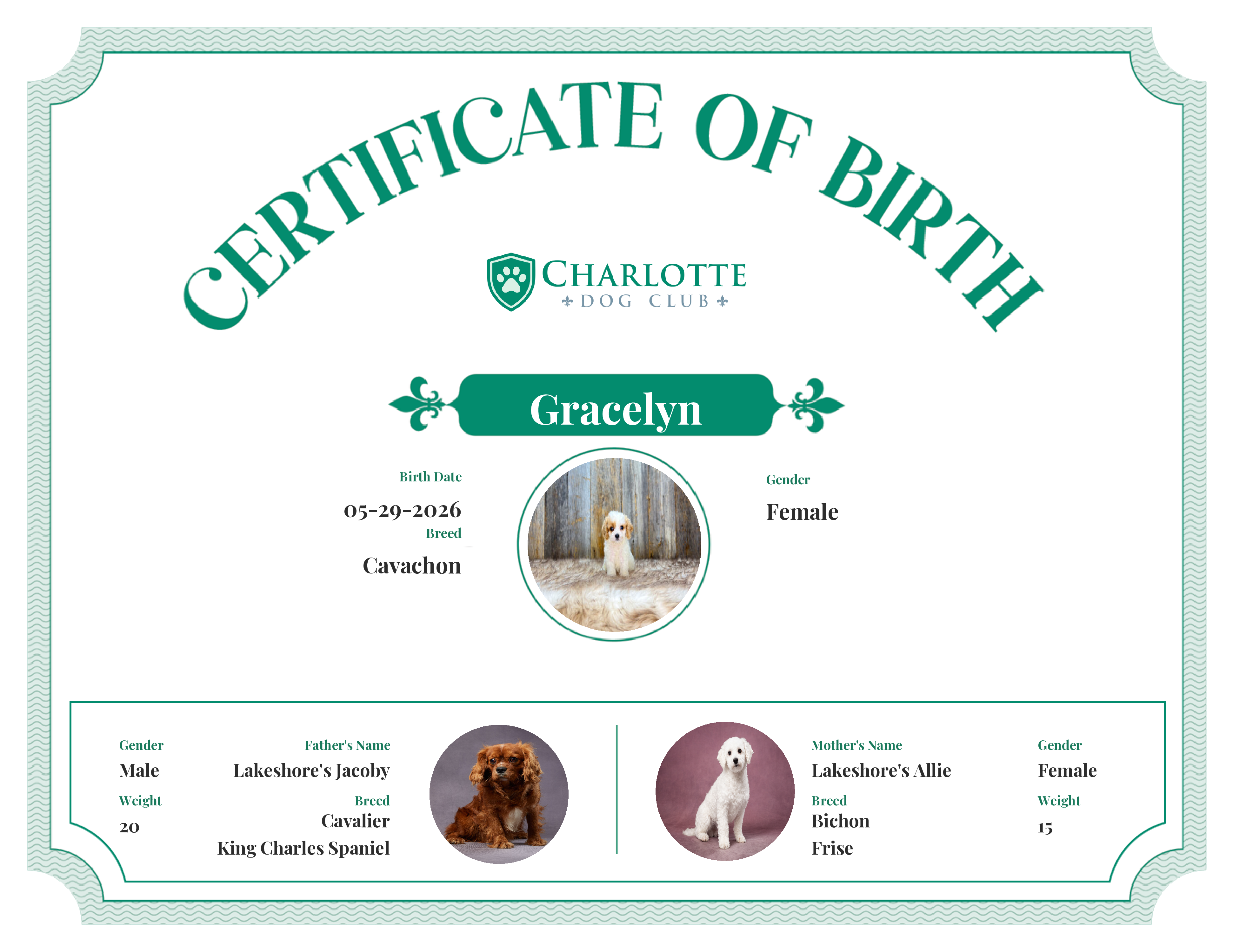 Gracelyn's Birth Certificate
