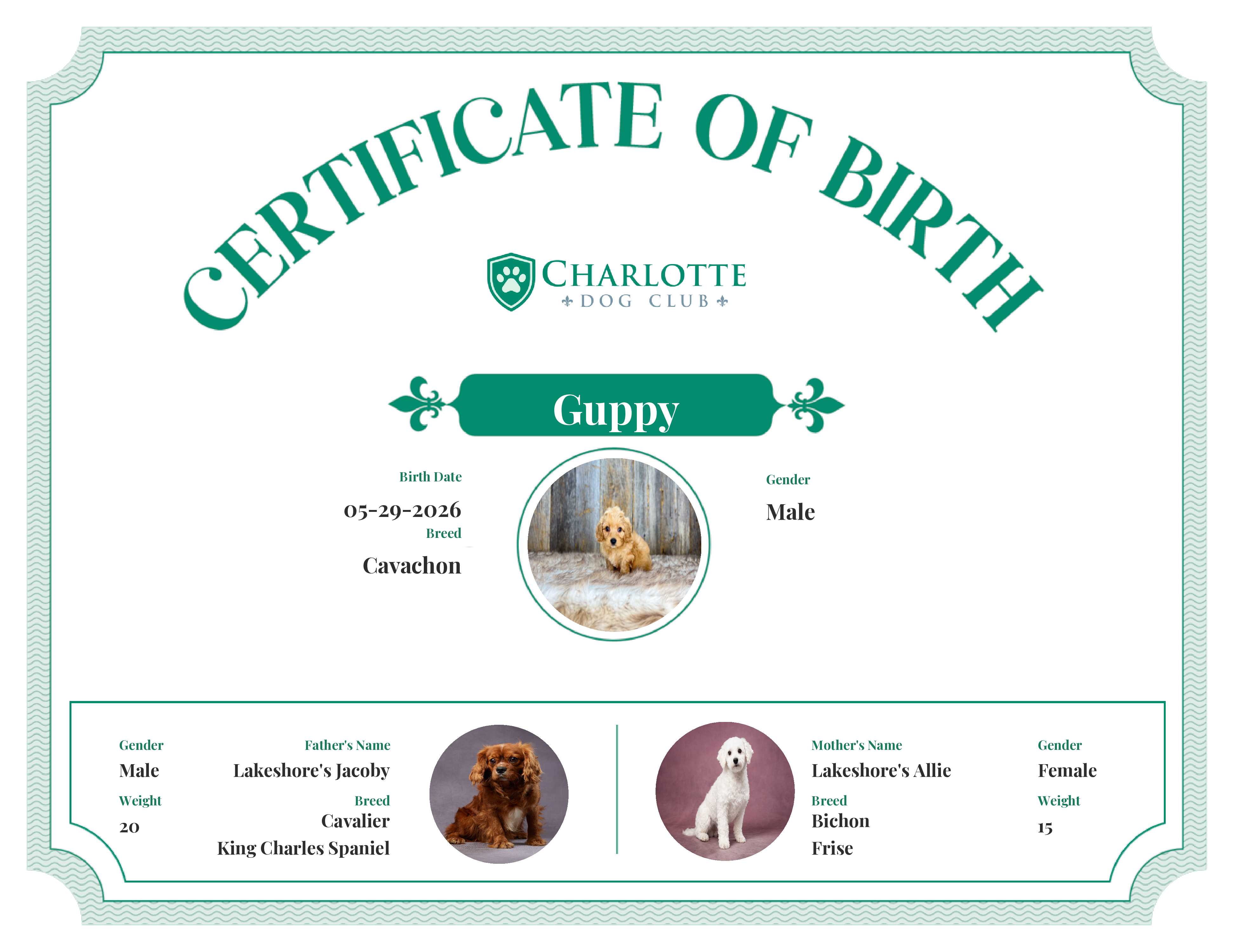 Guppy's Birth Certificate