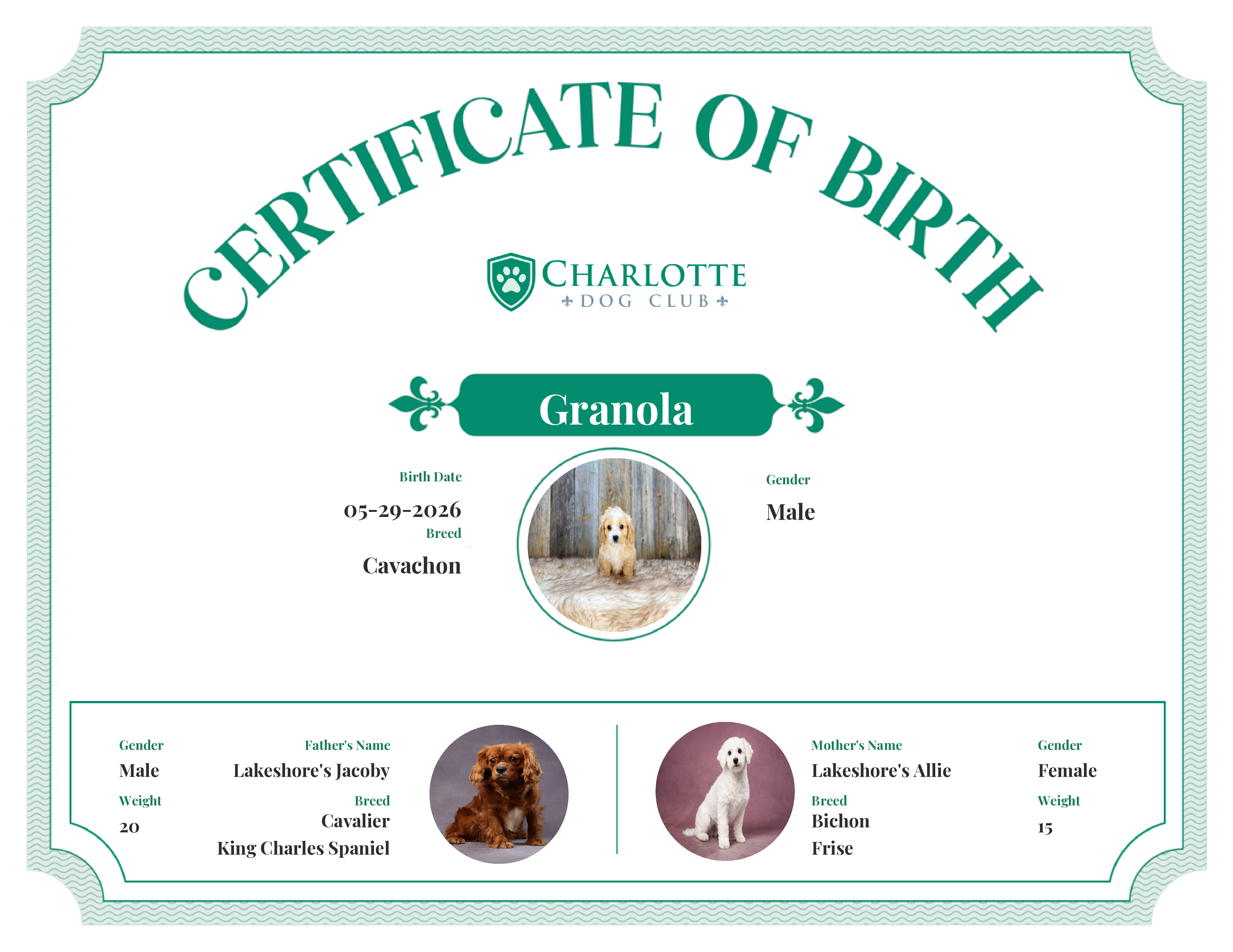 Granola's Birth Certificate