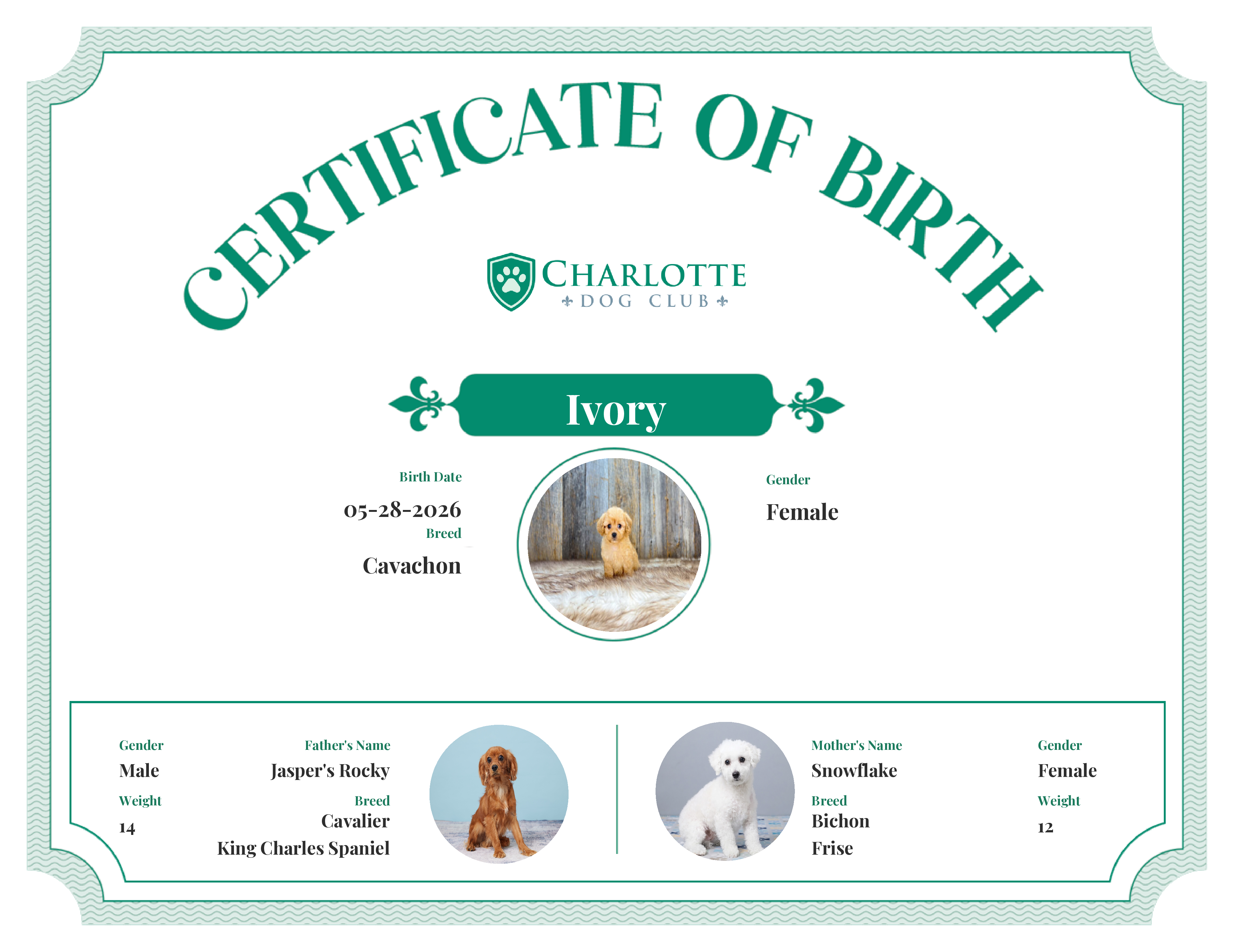 Ivory's Birth Certificate