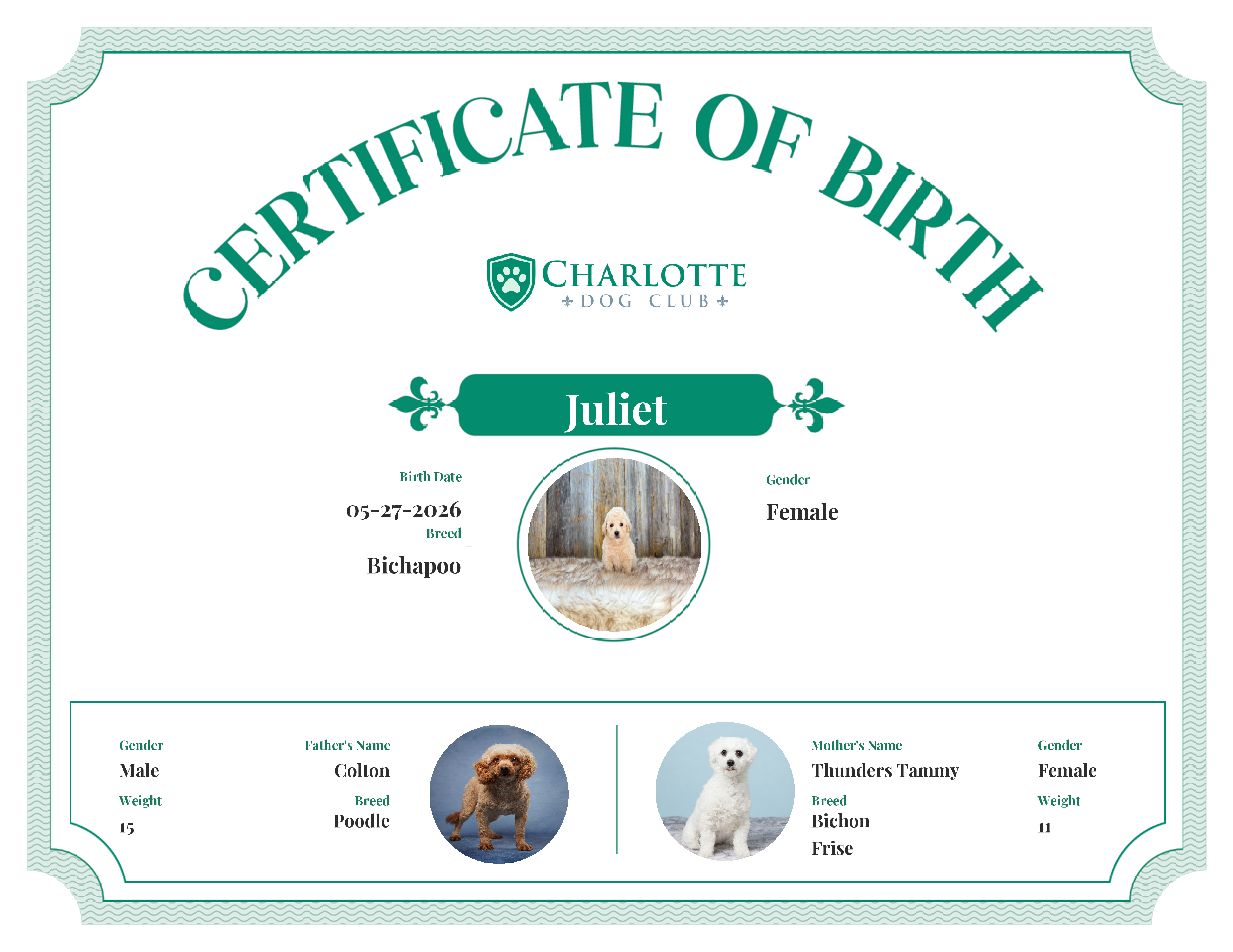 Juliet's Birth Certificate
