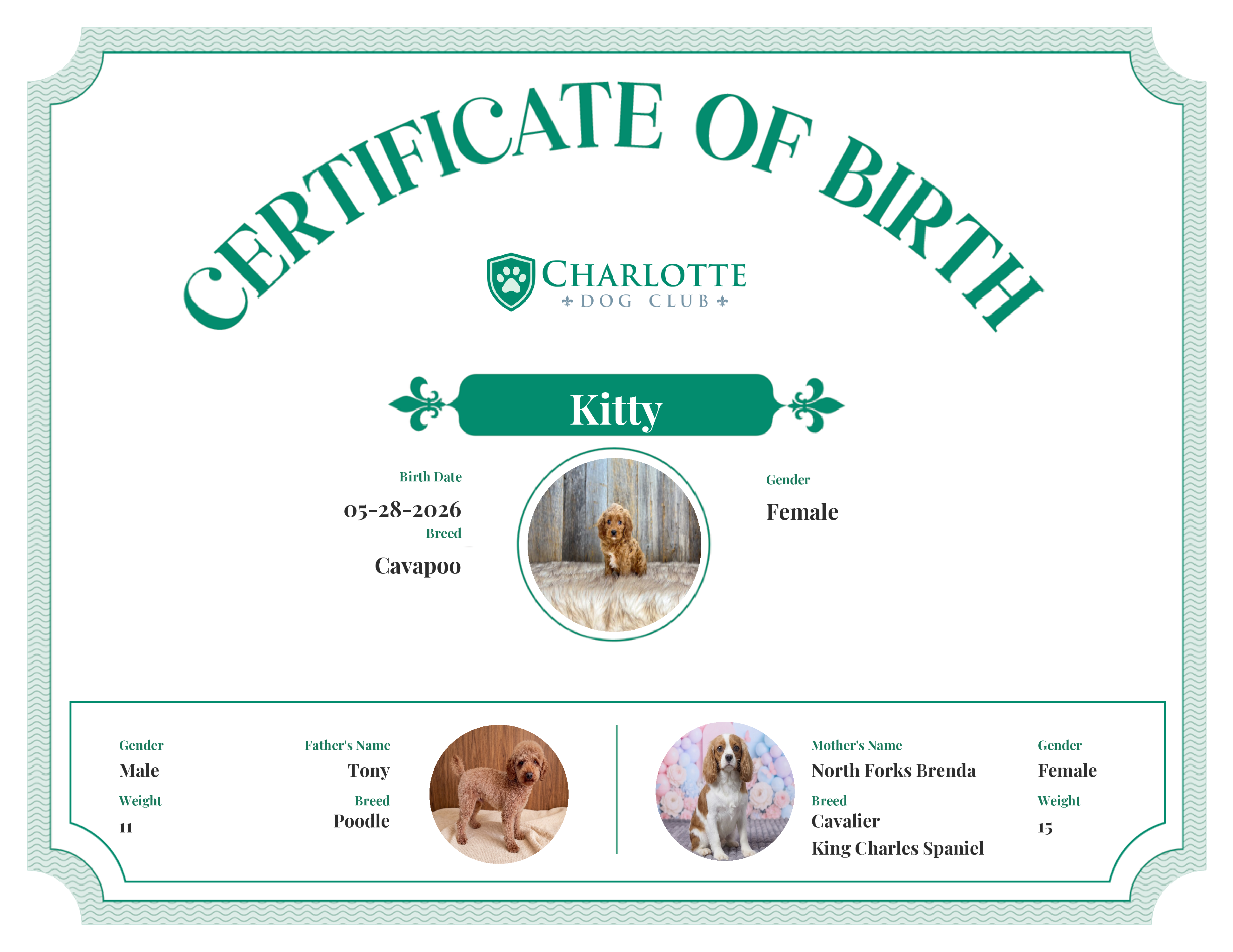 Kitty's Birth Certificate