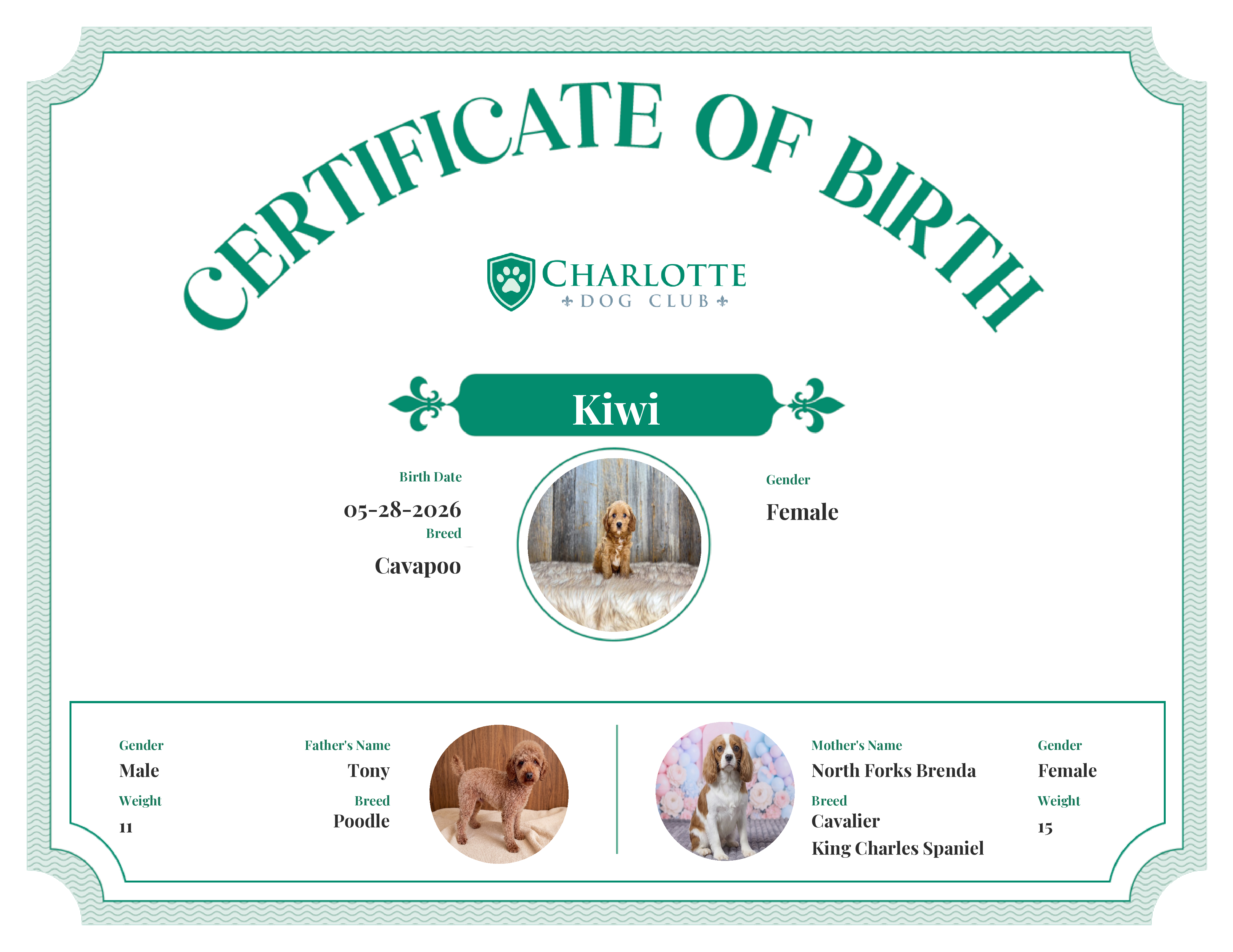 Kiwi's Birth Certificate