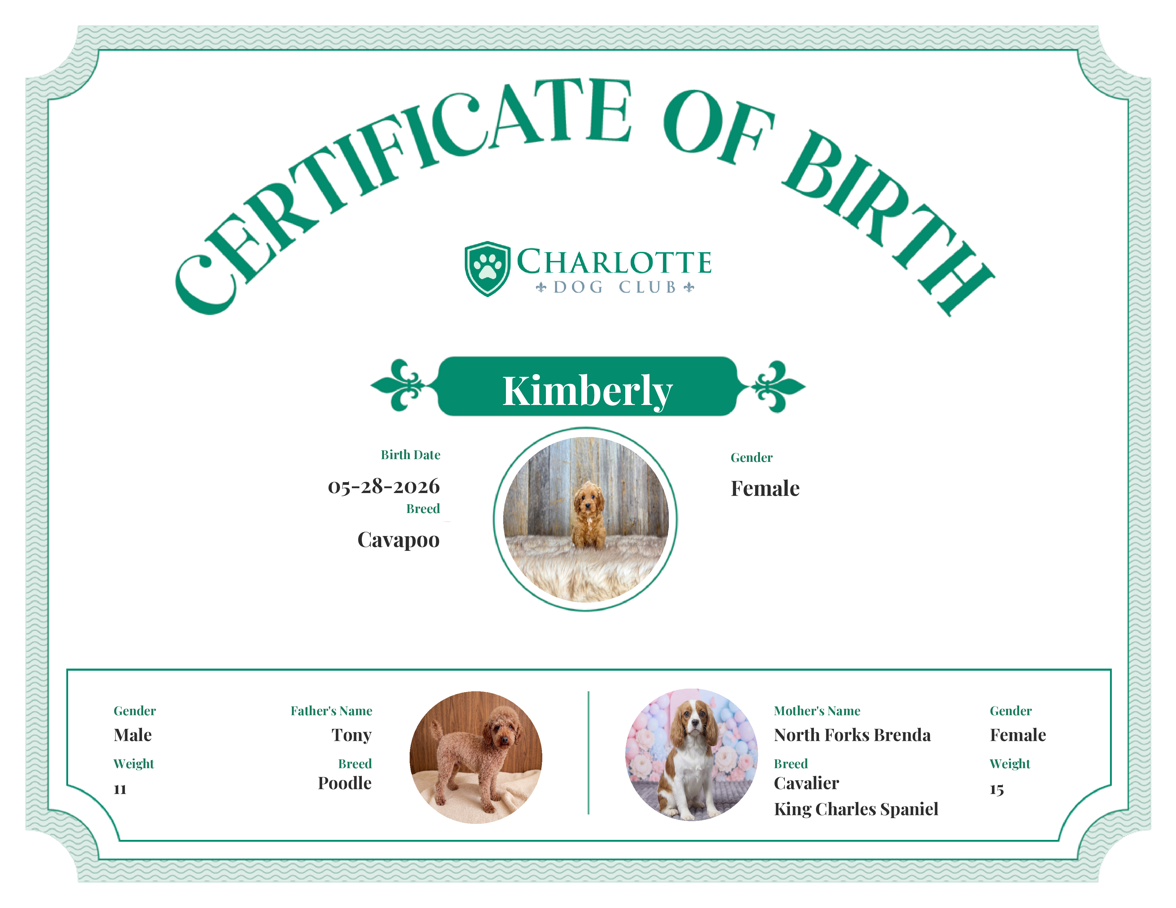 Kimberly's Birth Certificate