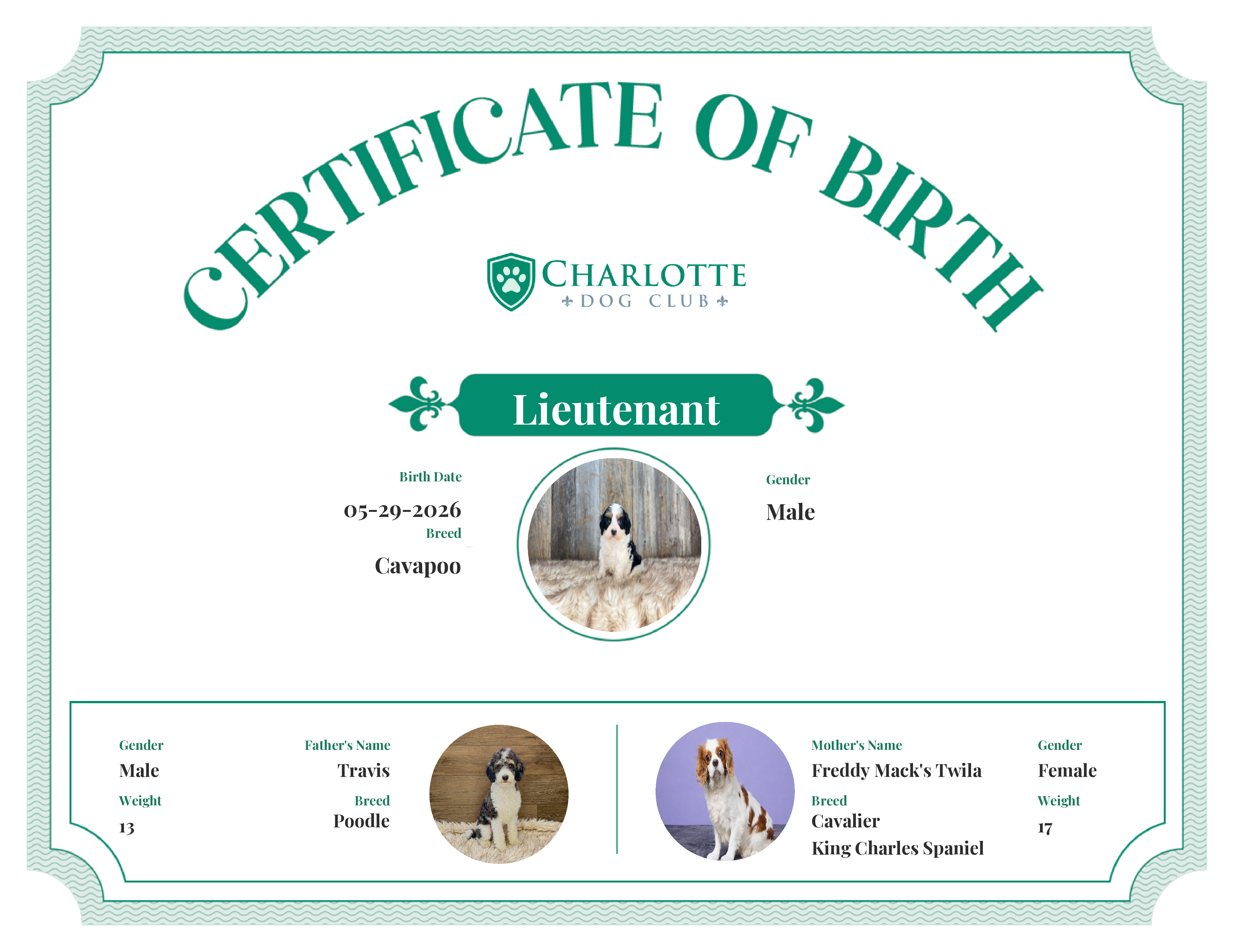 Lieutenant's Birth Certificate