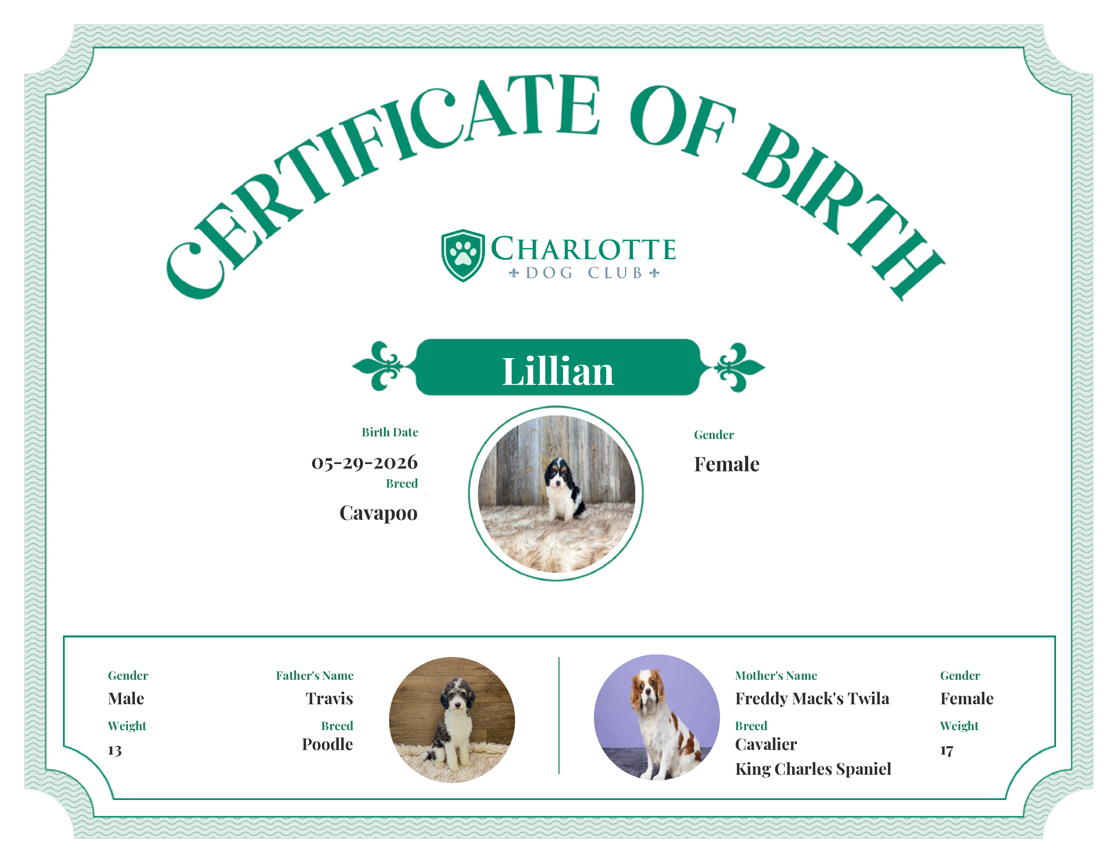 Lillian's Birth Certificate