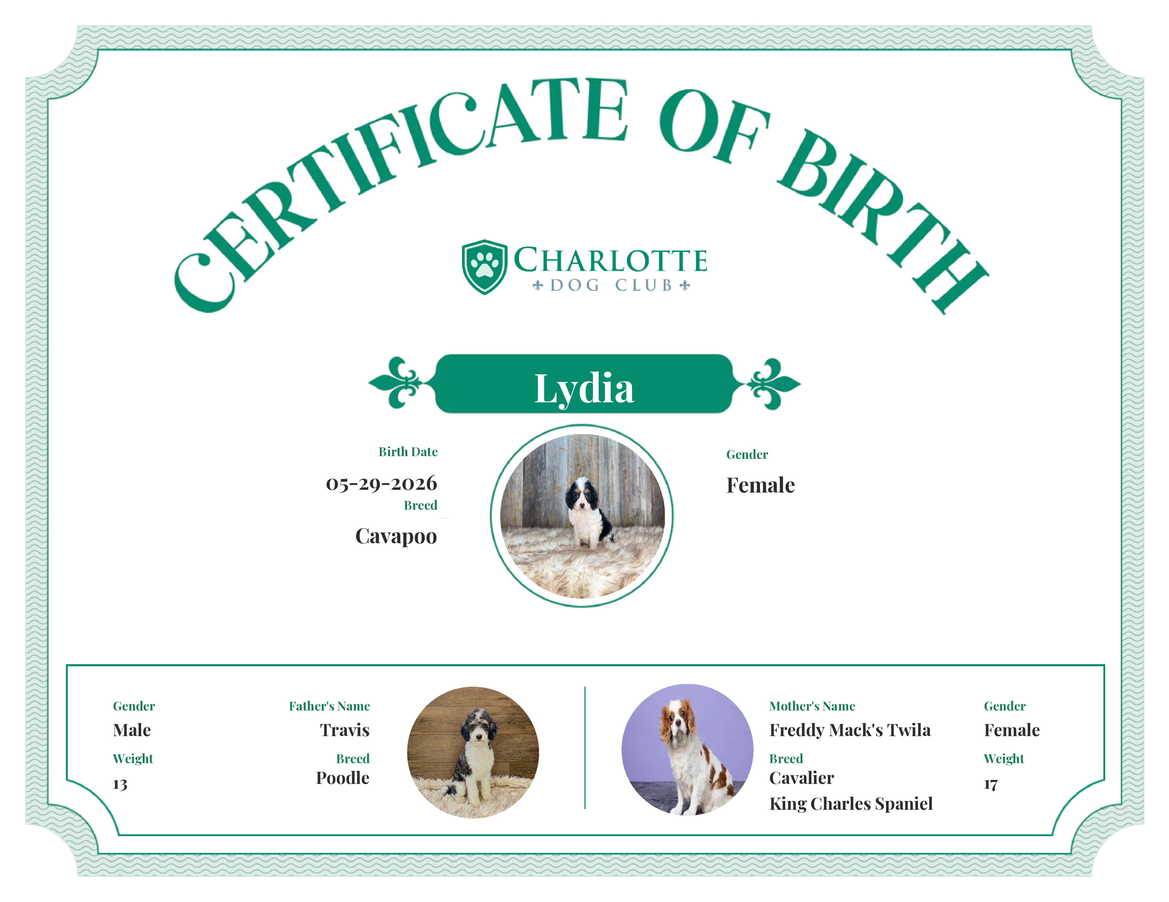 Lydia's Birth Certificate