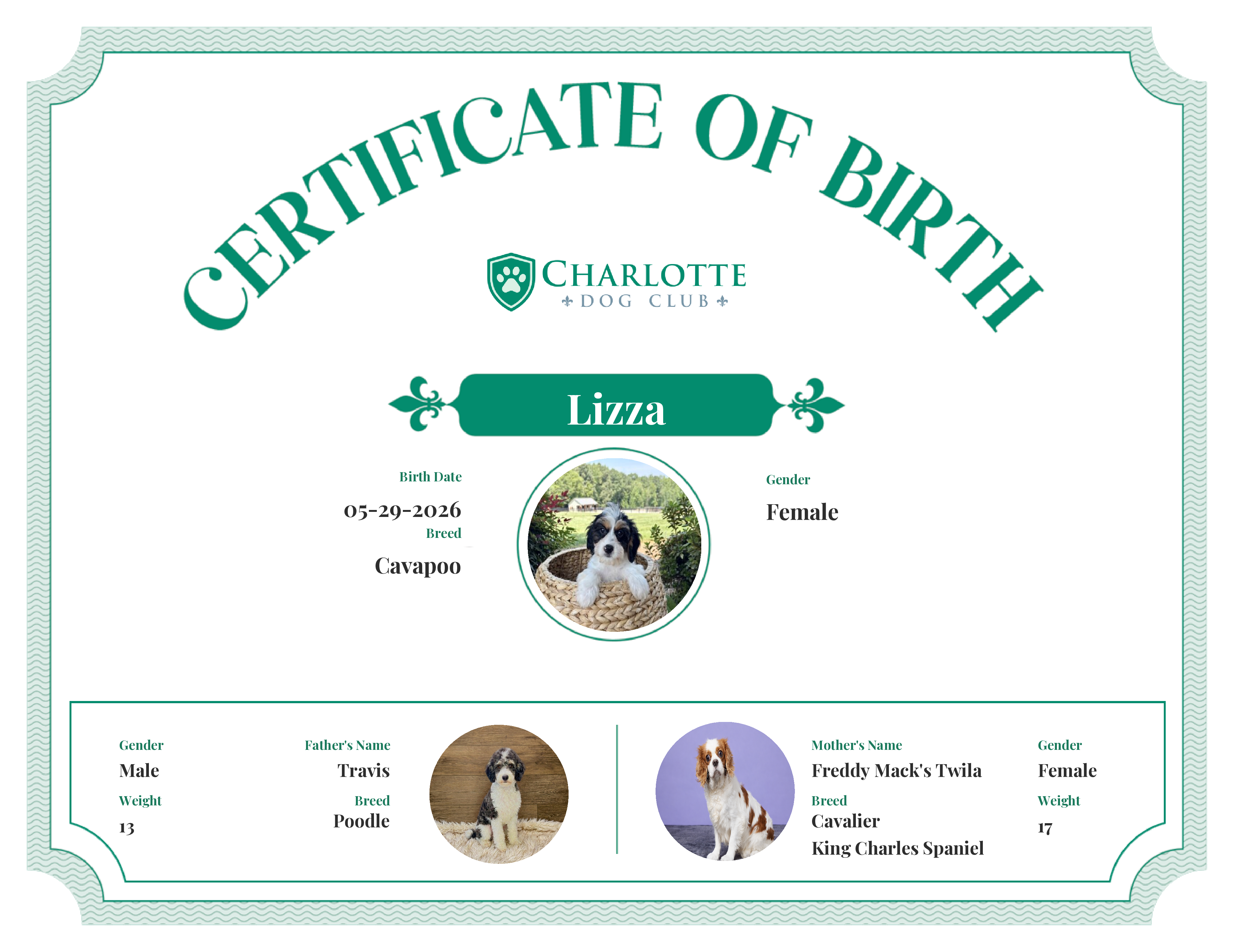 Lizza's Birth Certificate