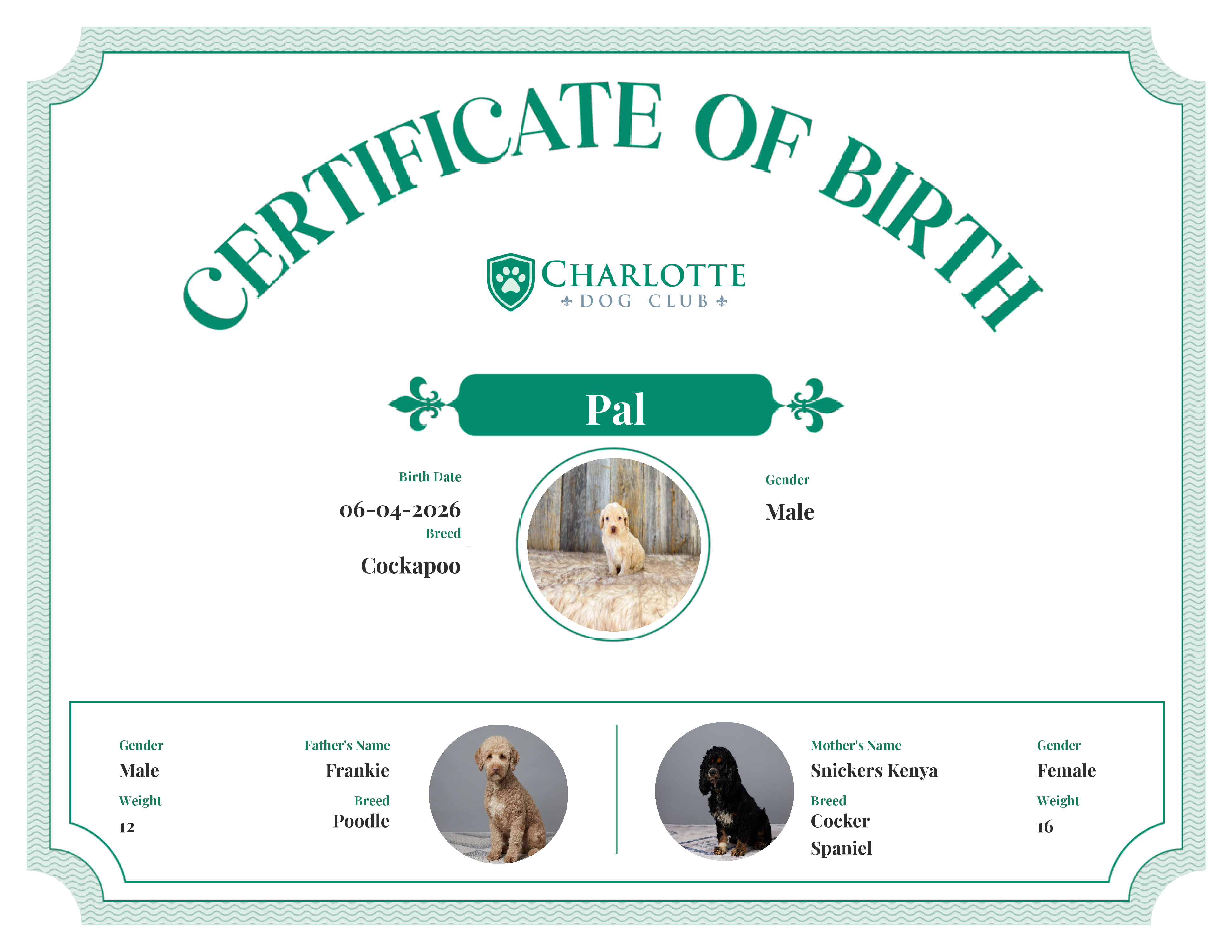 Pal's Birth Certificate