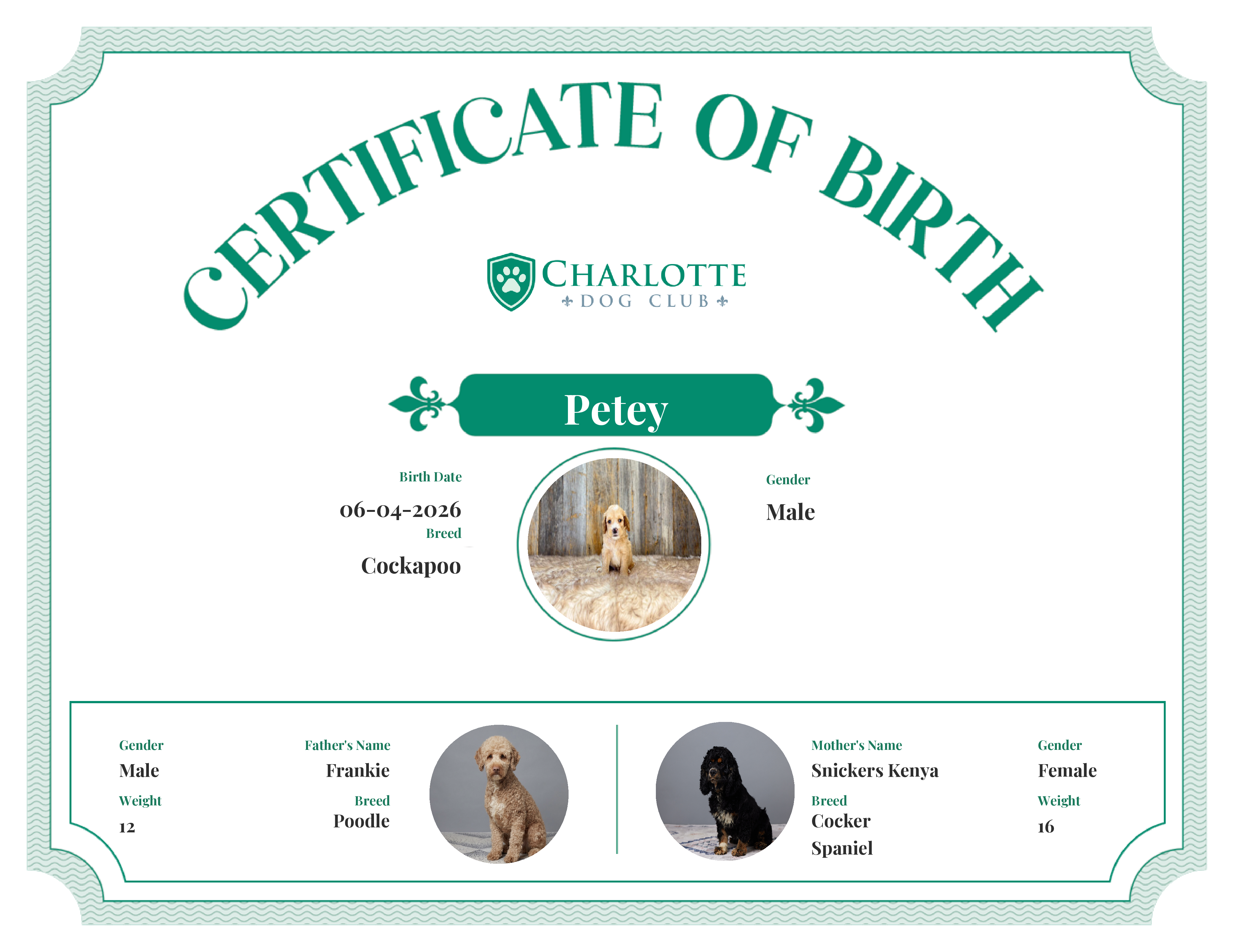 Petey's Birth Certificate