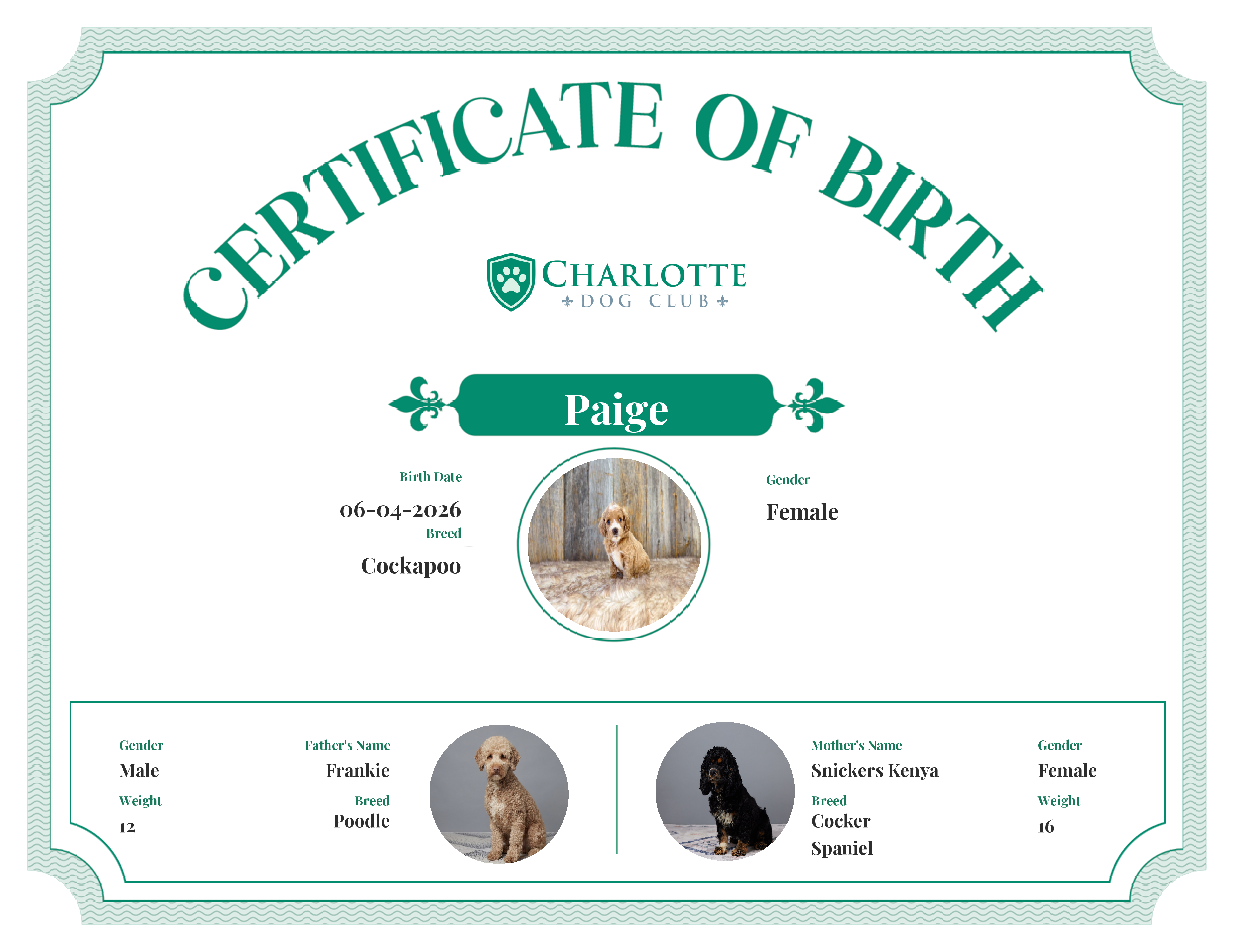 Paige's Birth Certificate