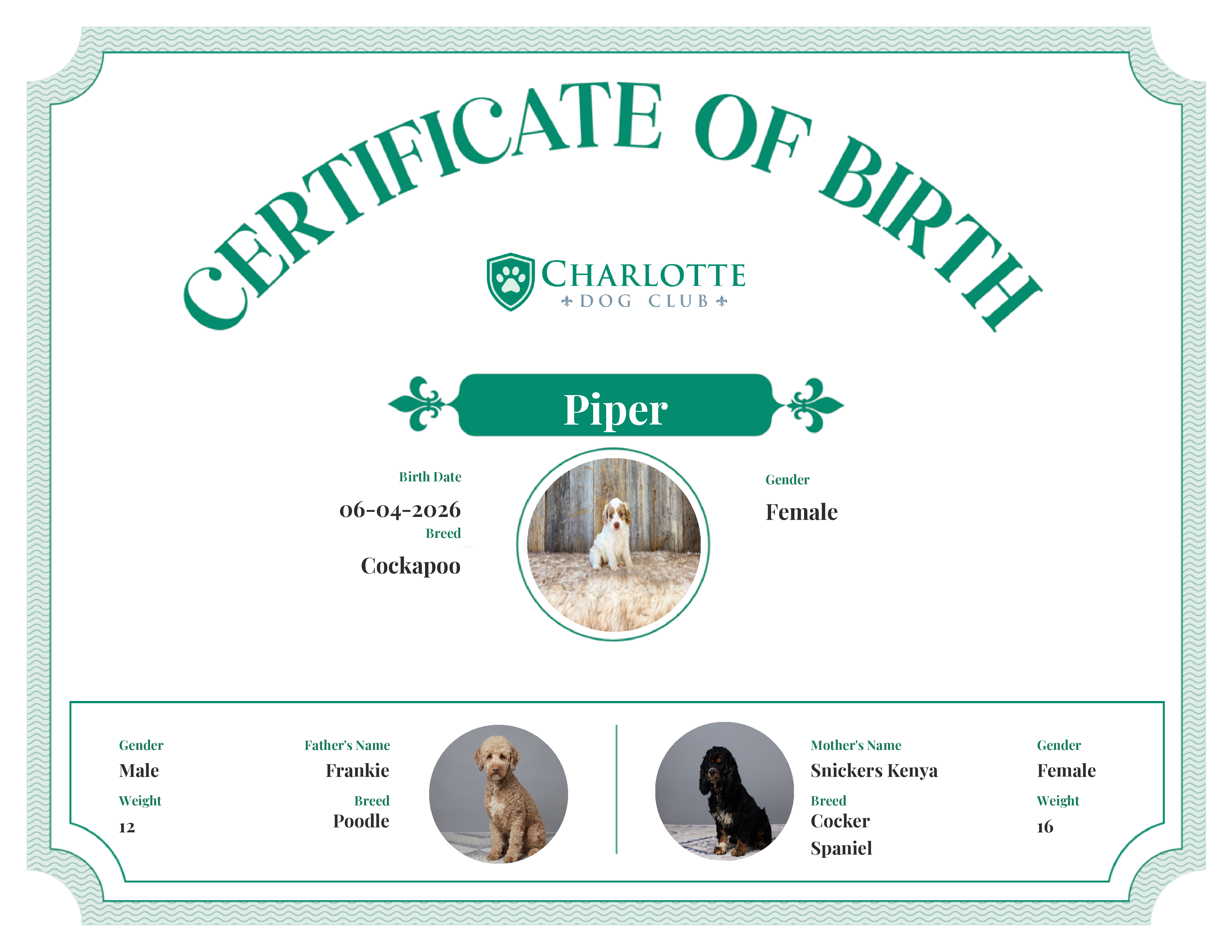 Piper's Birth Certificate