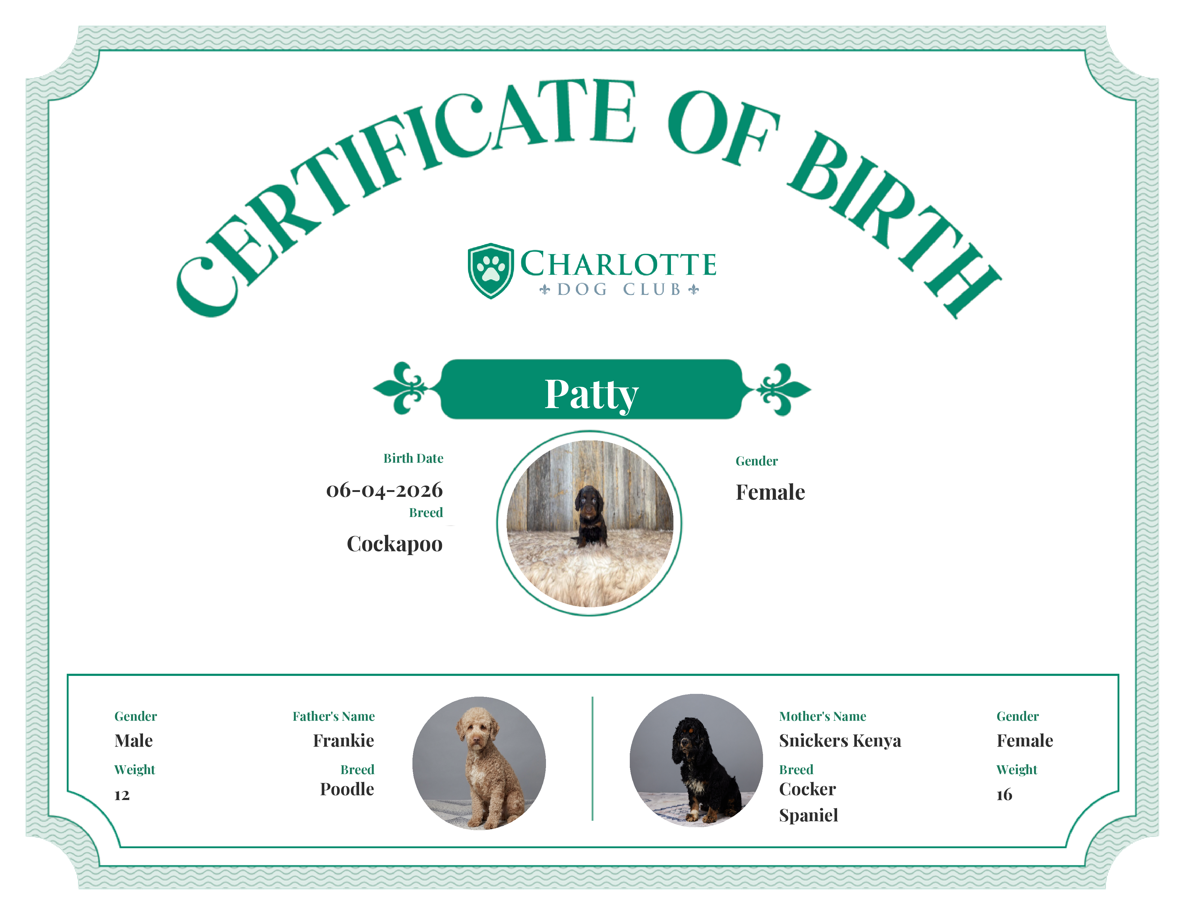 Patty's Birth Certificate