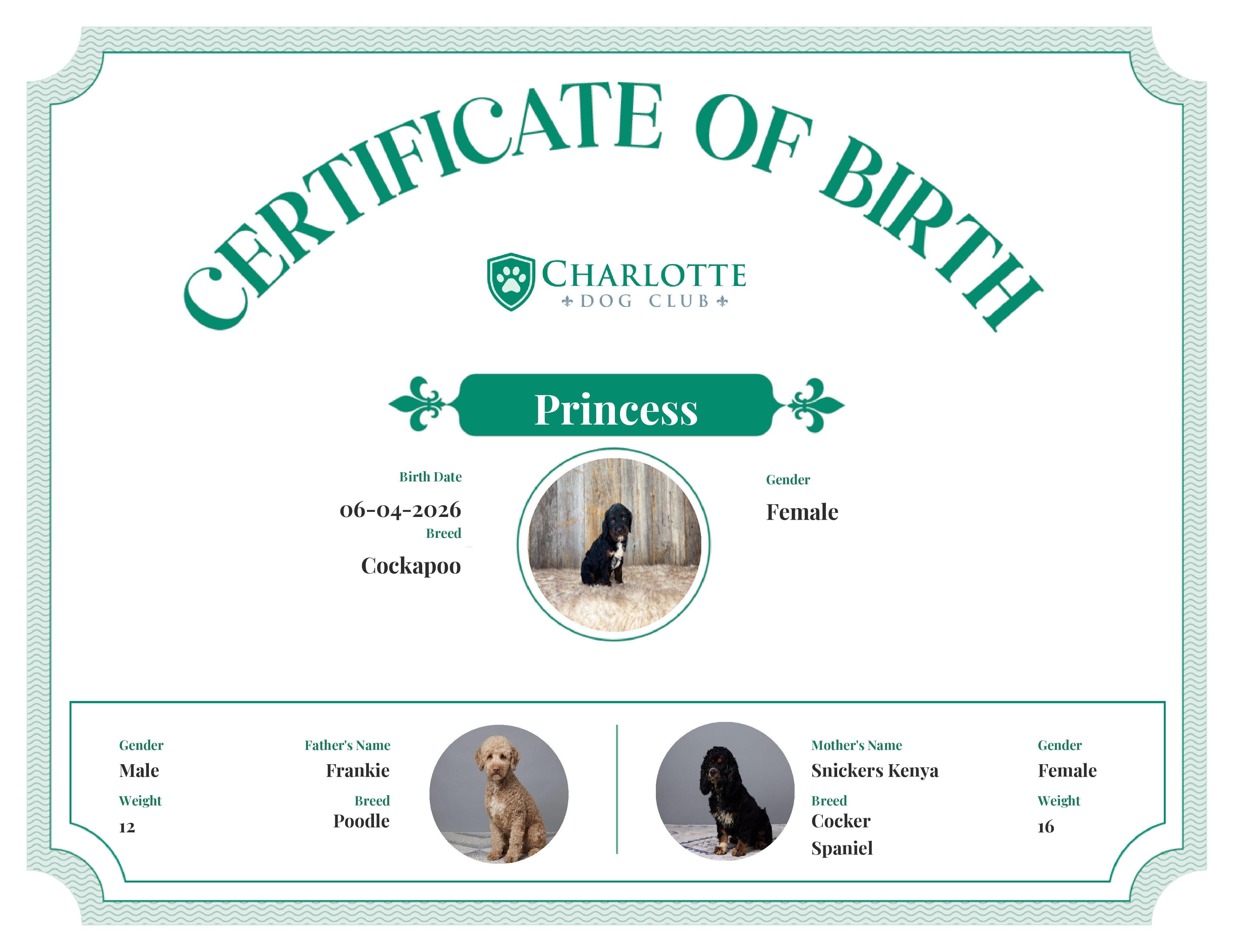 Princess's Birth Certificate