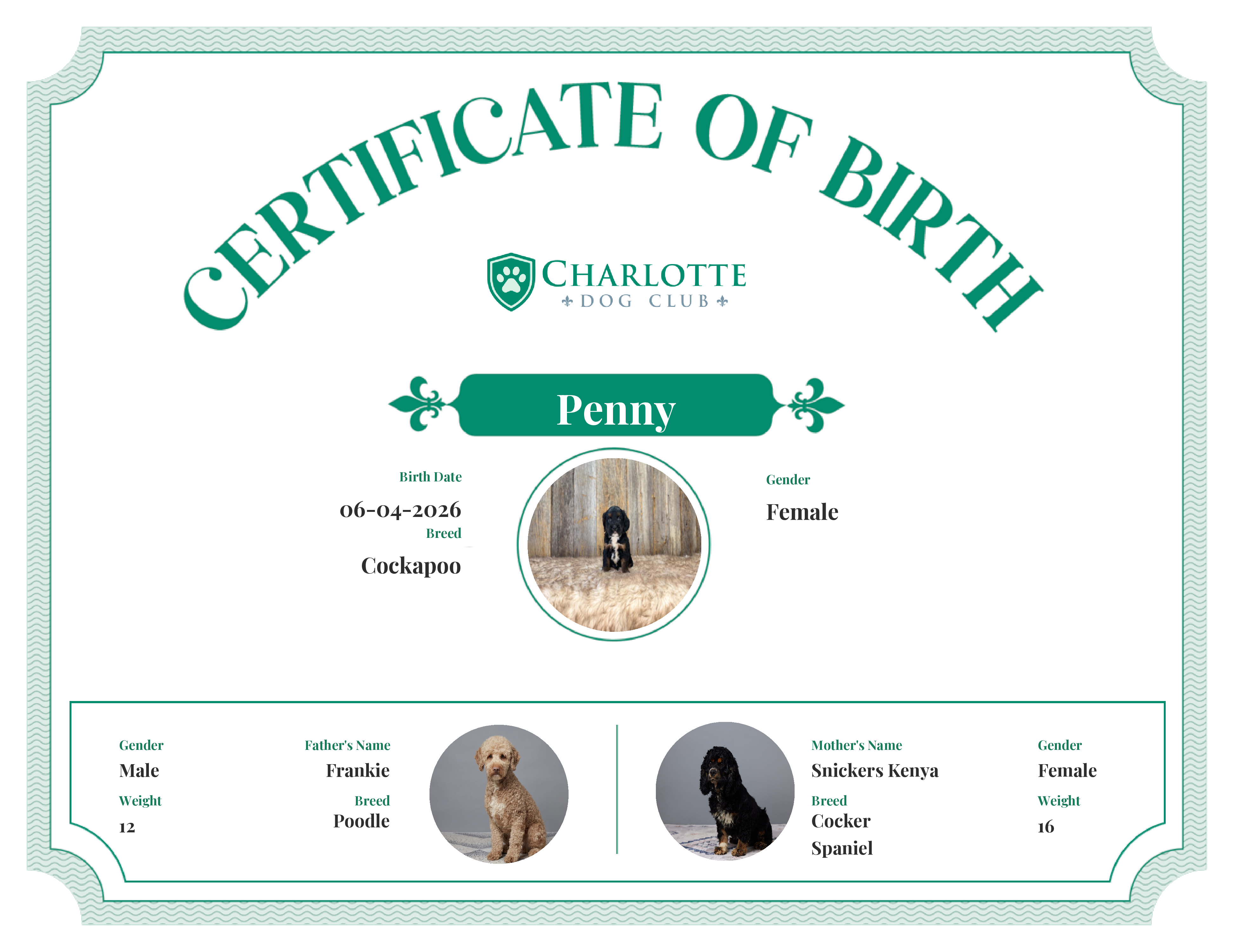 Penny's Birth Certificate