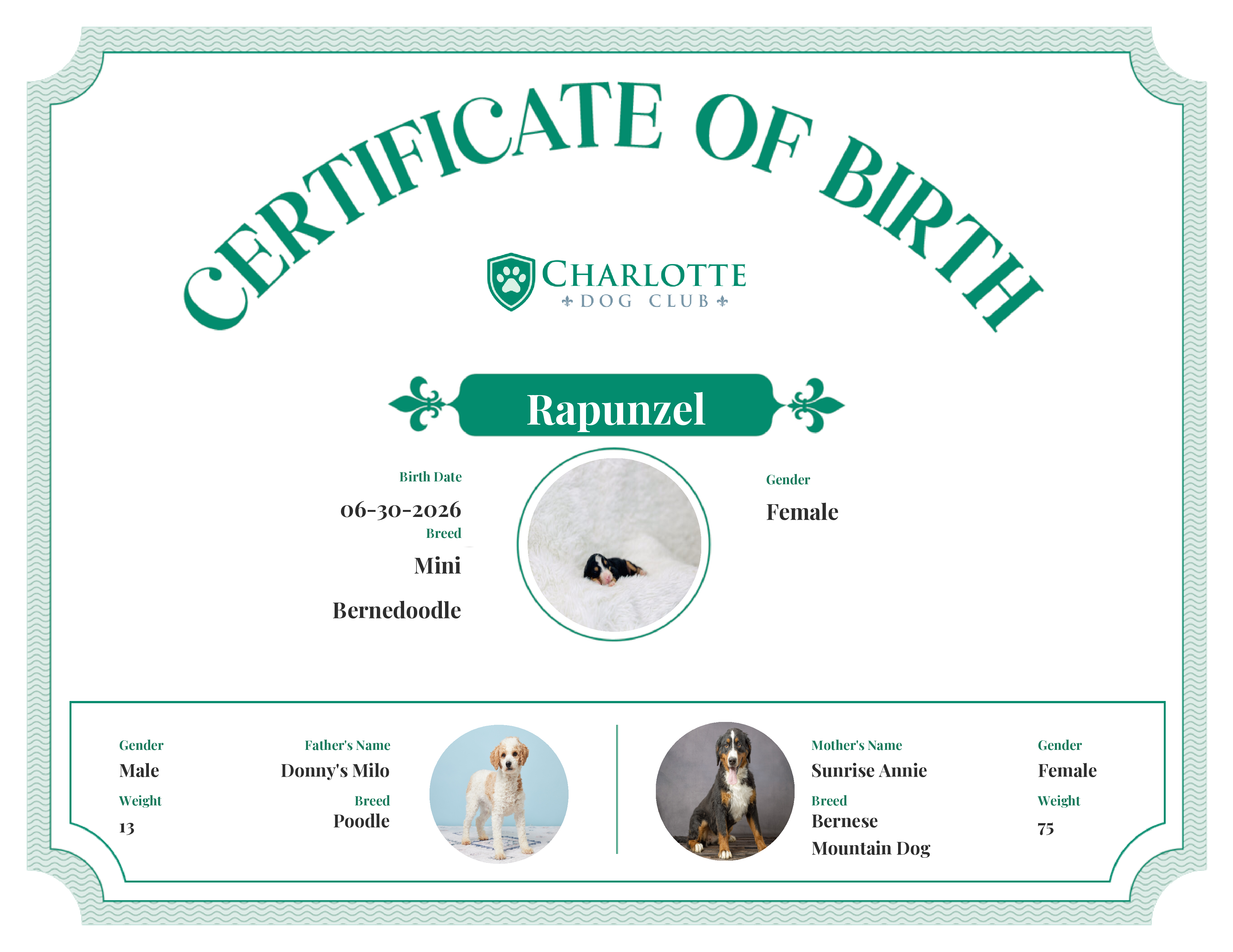 Rapunzel's Birth Certificate