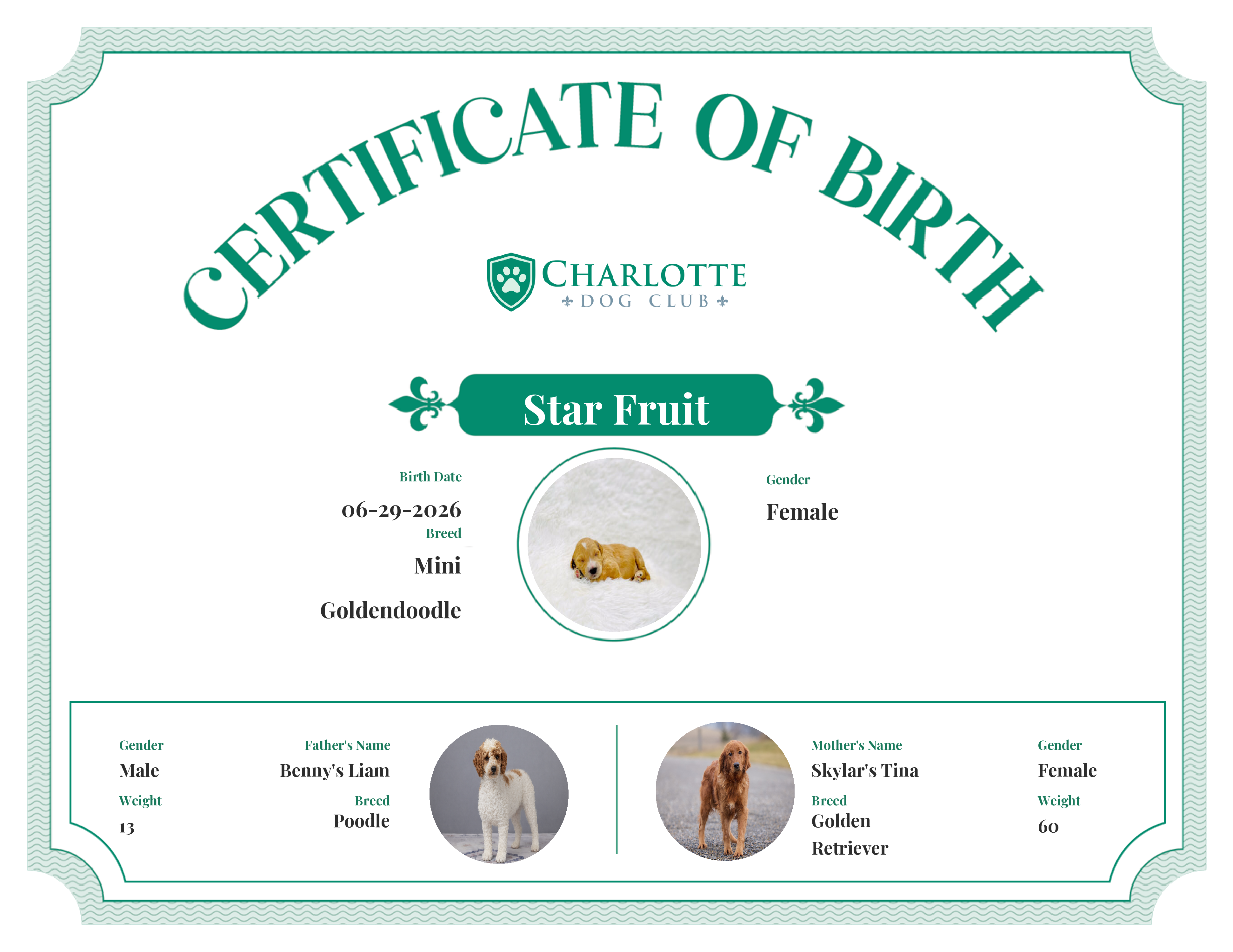 Star Fruit's Birth Certificate