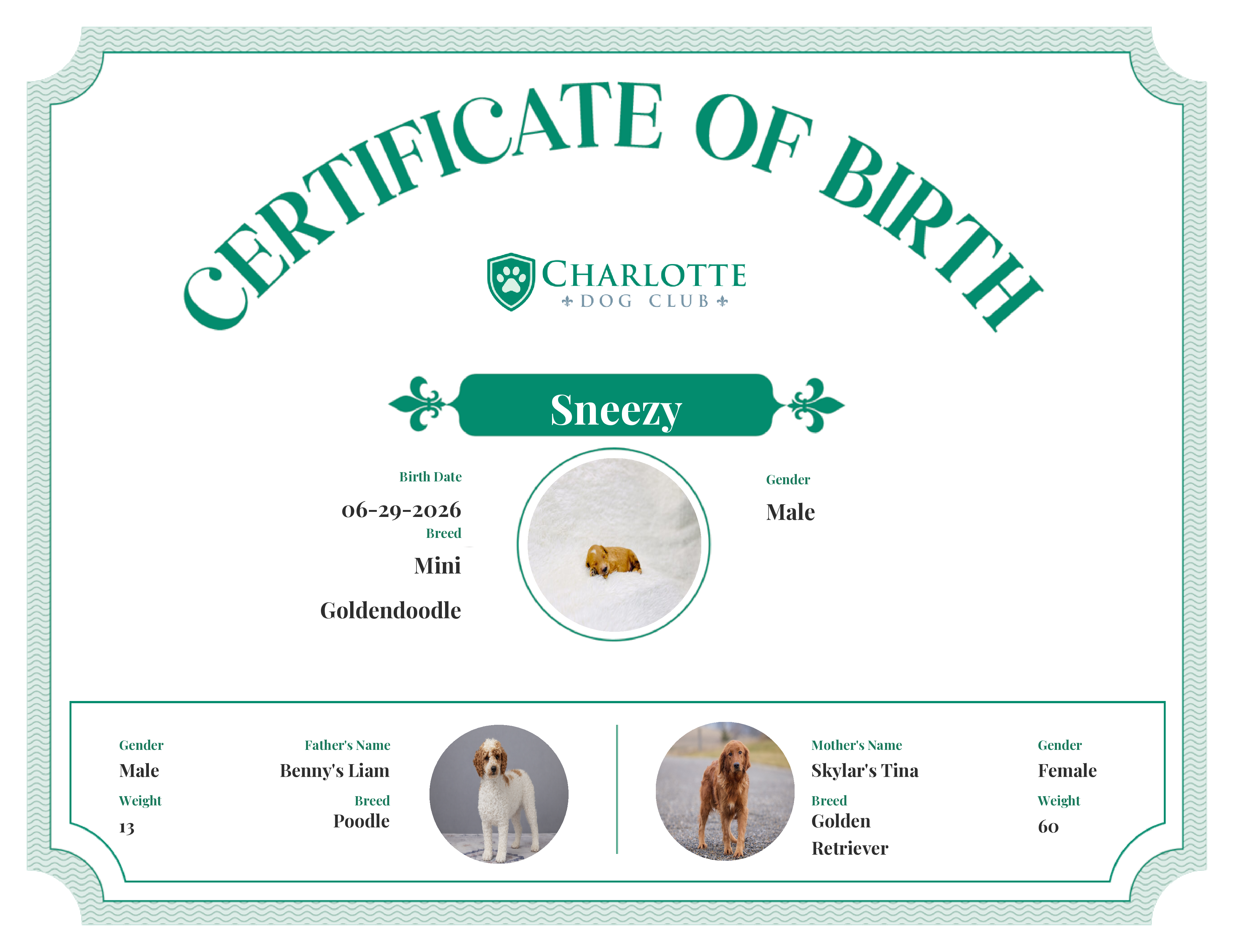 Sneezy's Birth Certificate