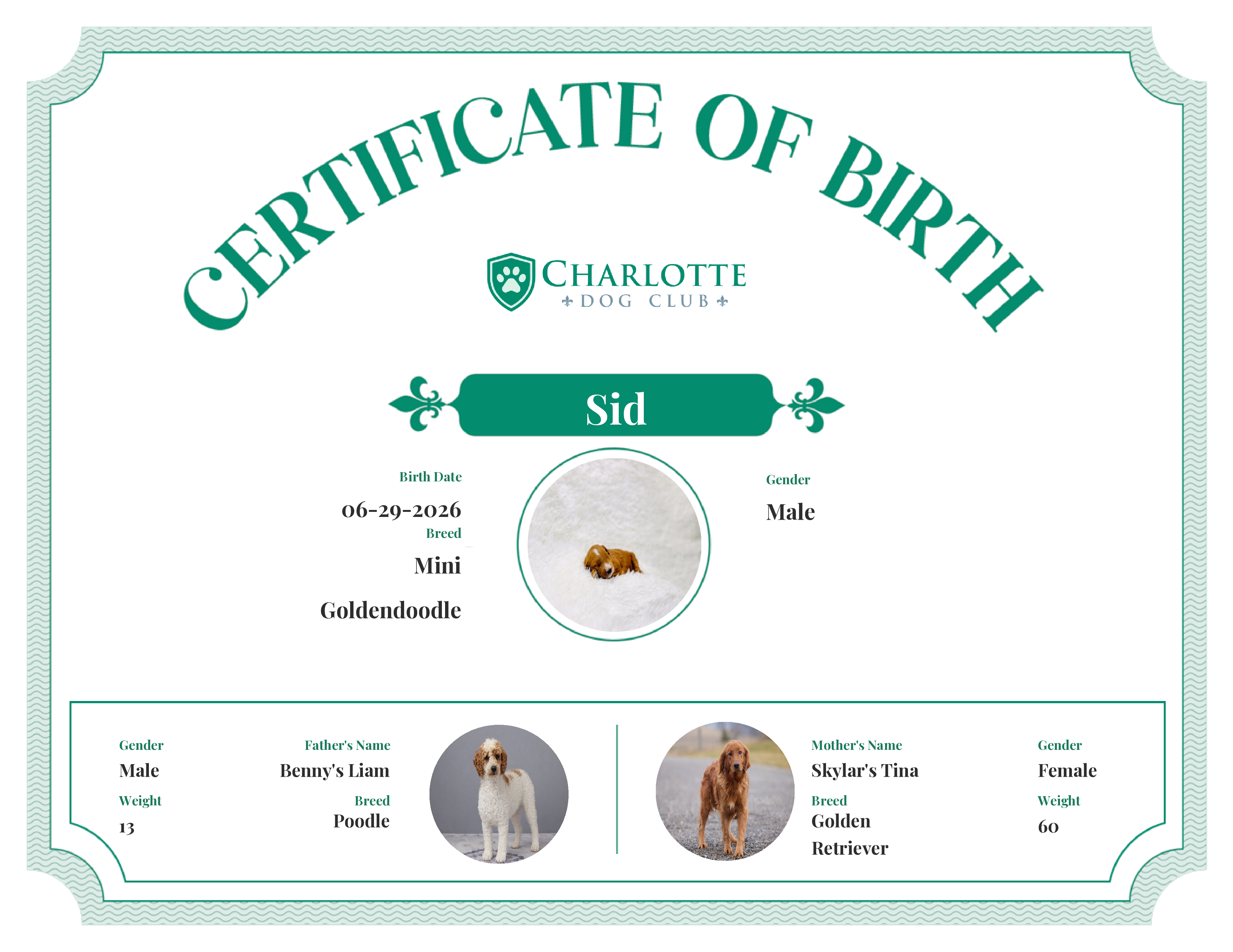 Sid's Birth Certificate