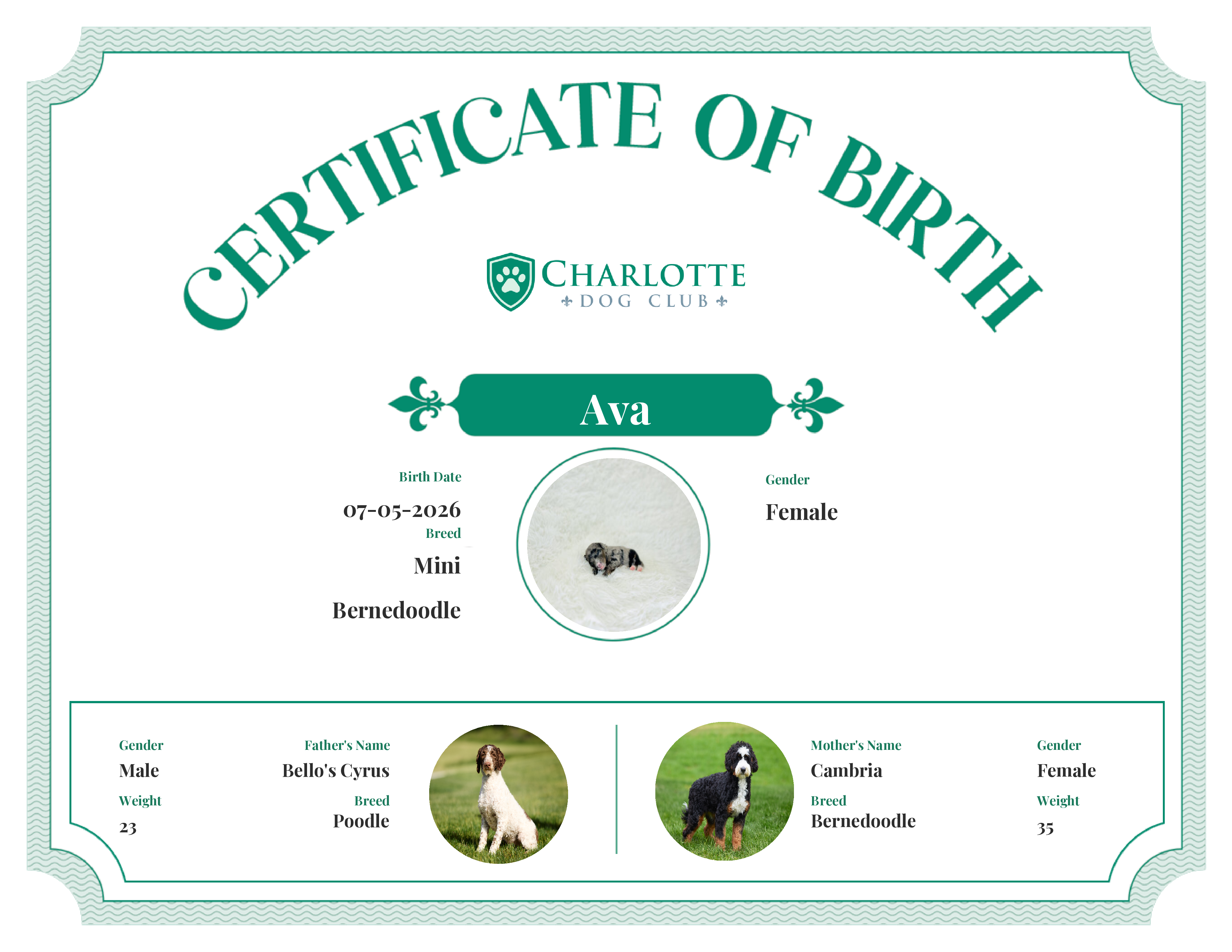 Ava's Birth Certificate