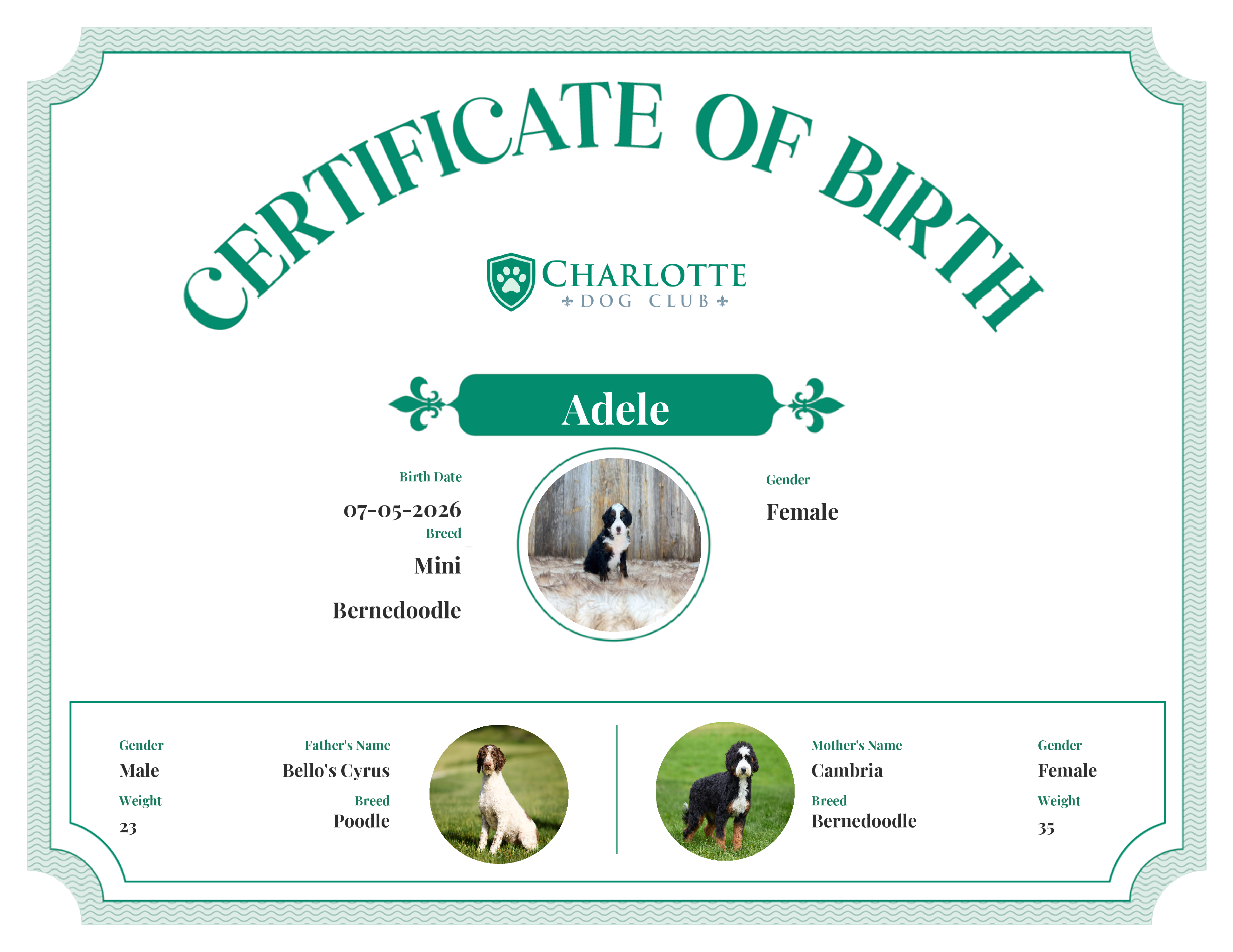 Adele's Birth Certificate