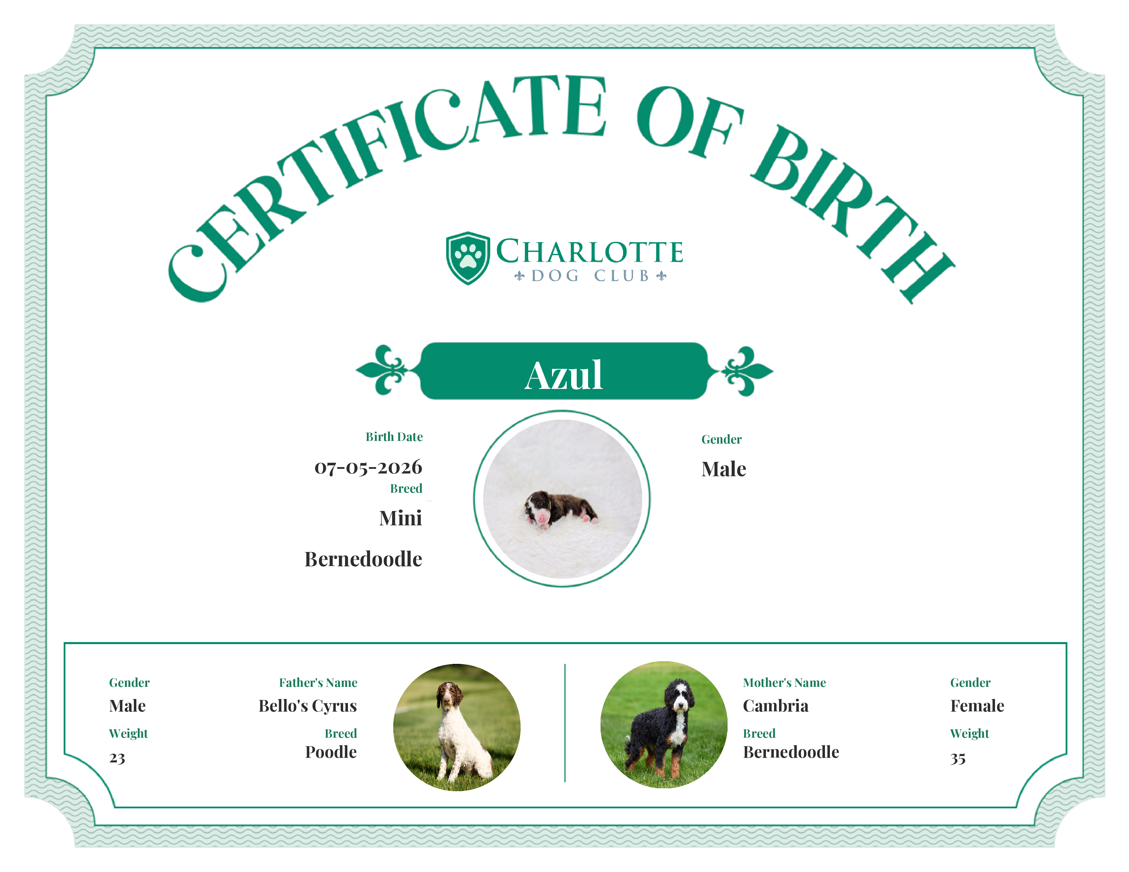 Azul's Birth Certificate