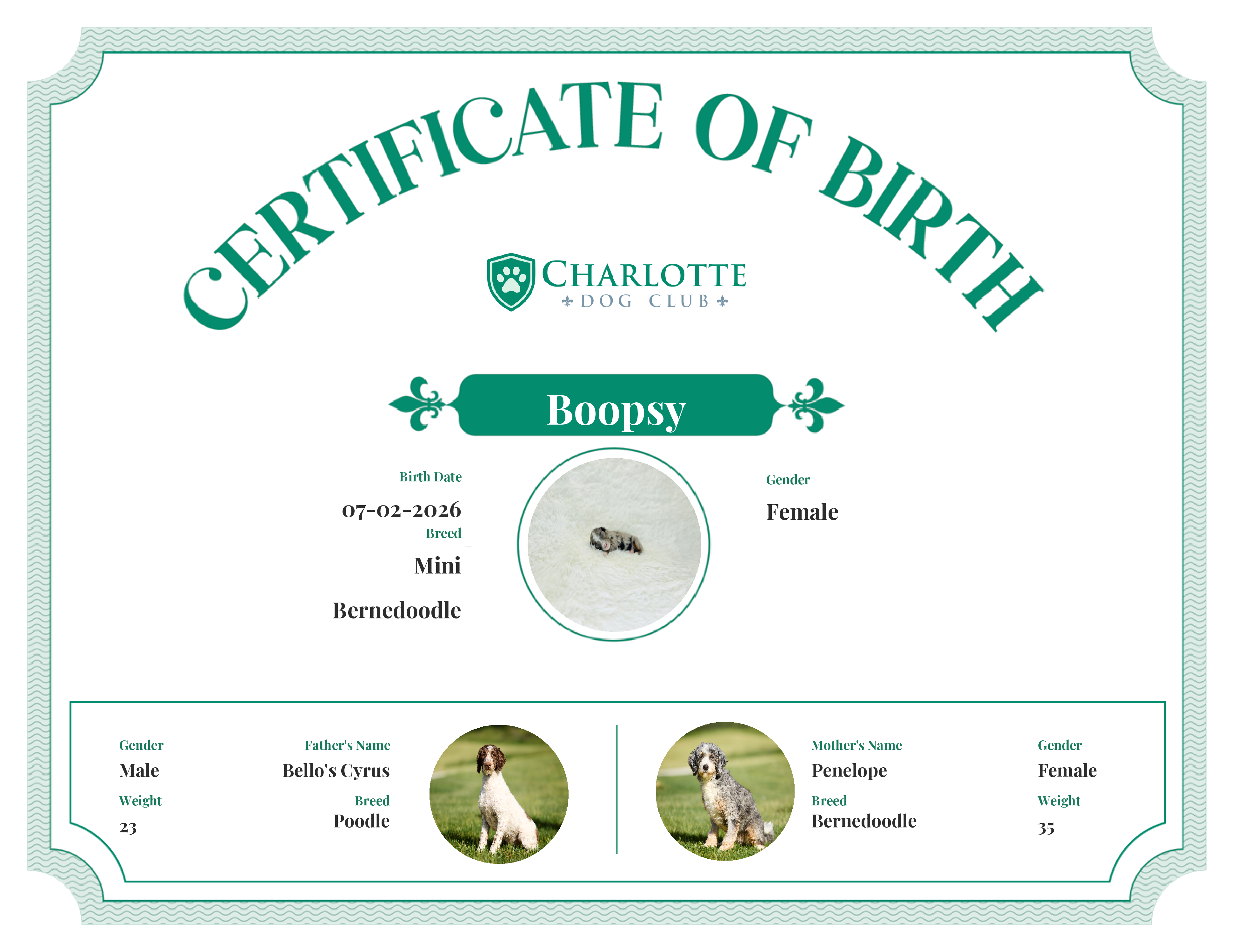 Boopsy's Birth Certificate