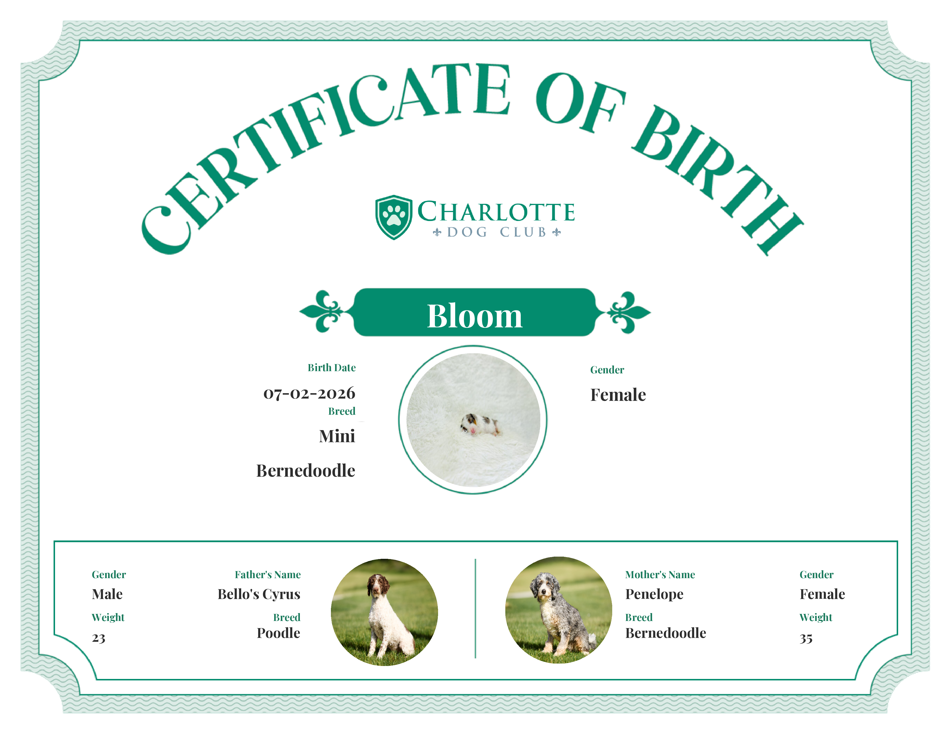Bloom's Birth Certificate