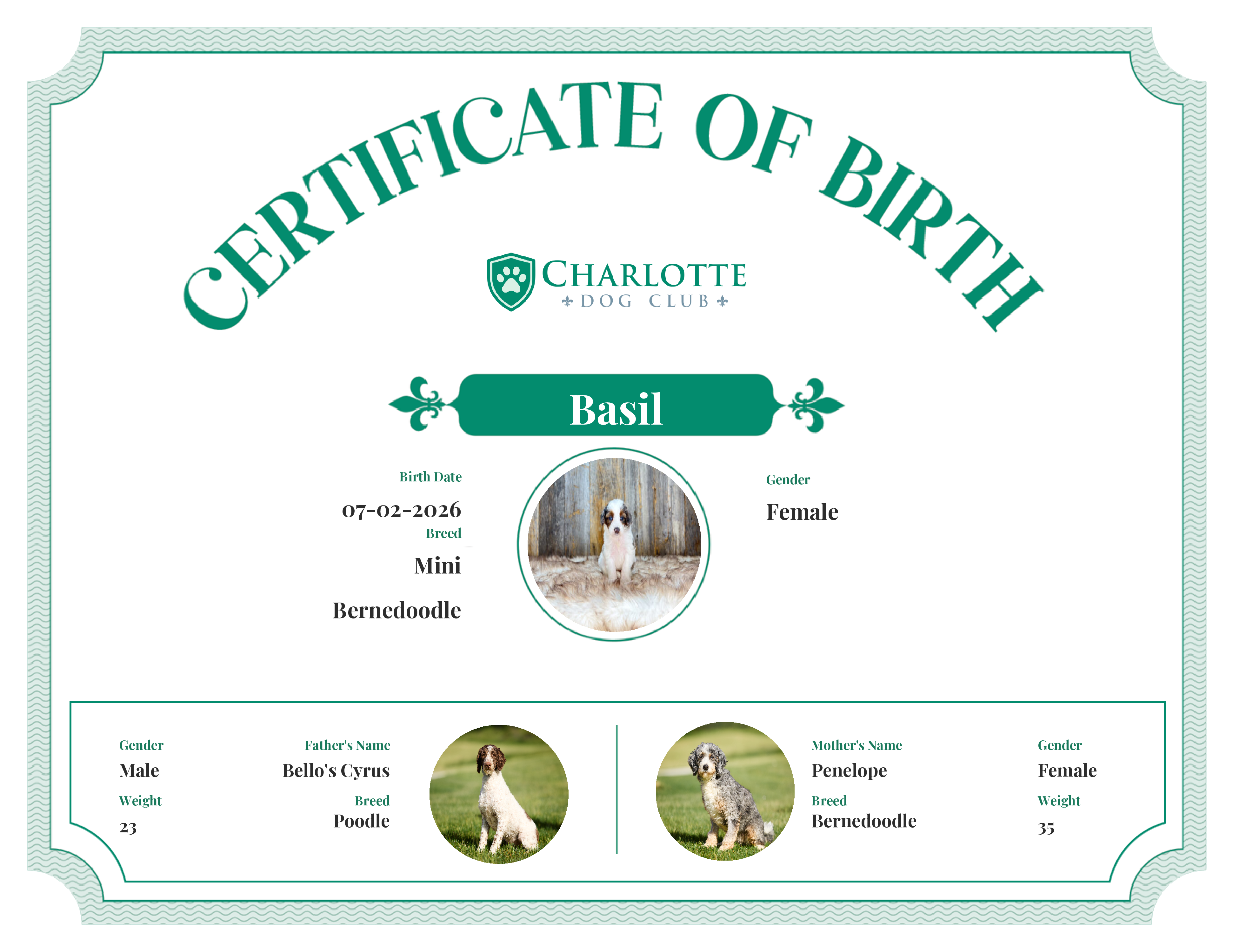 Basil's Birth Certificate