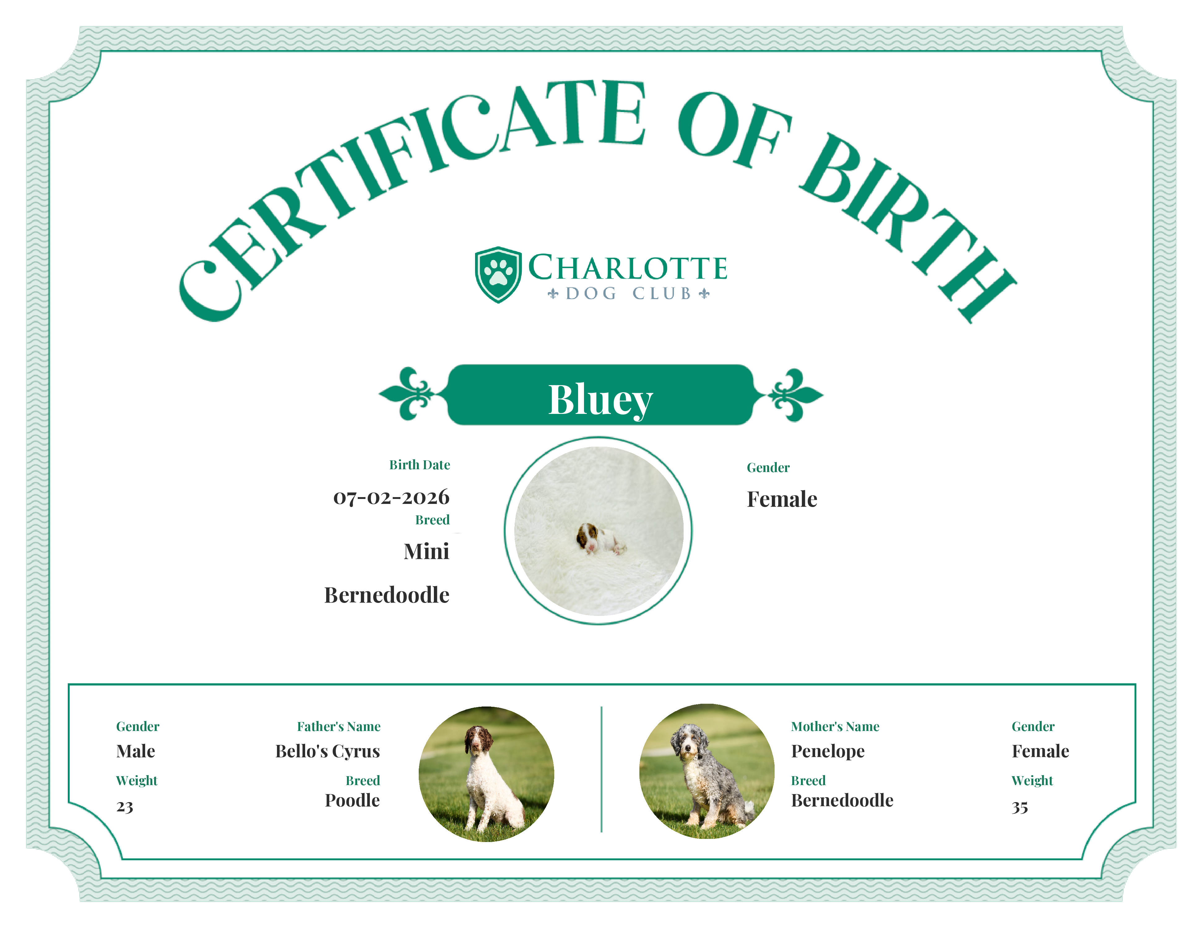 Bluey's Birth Certificate