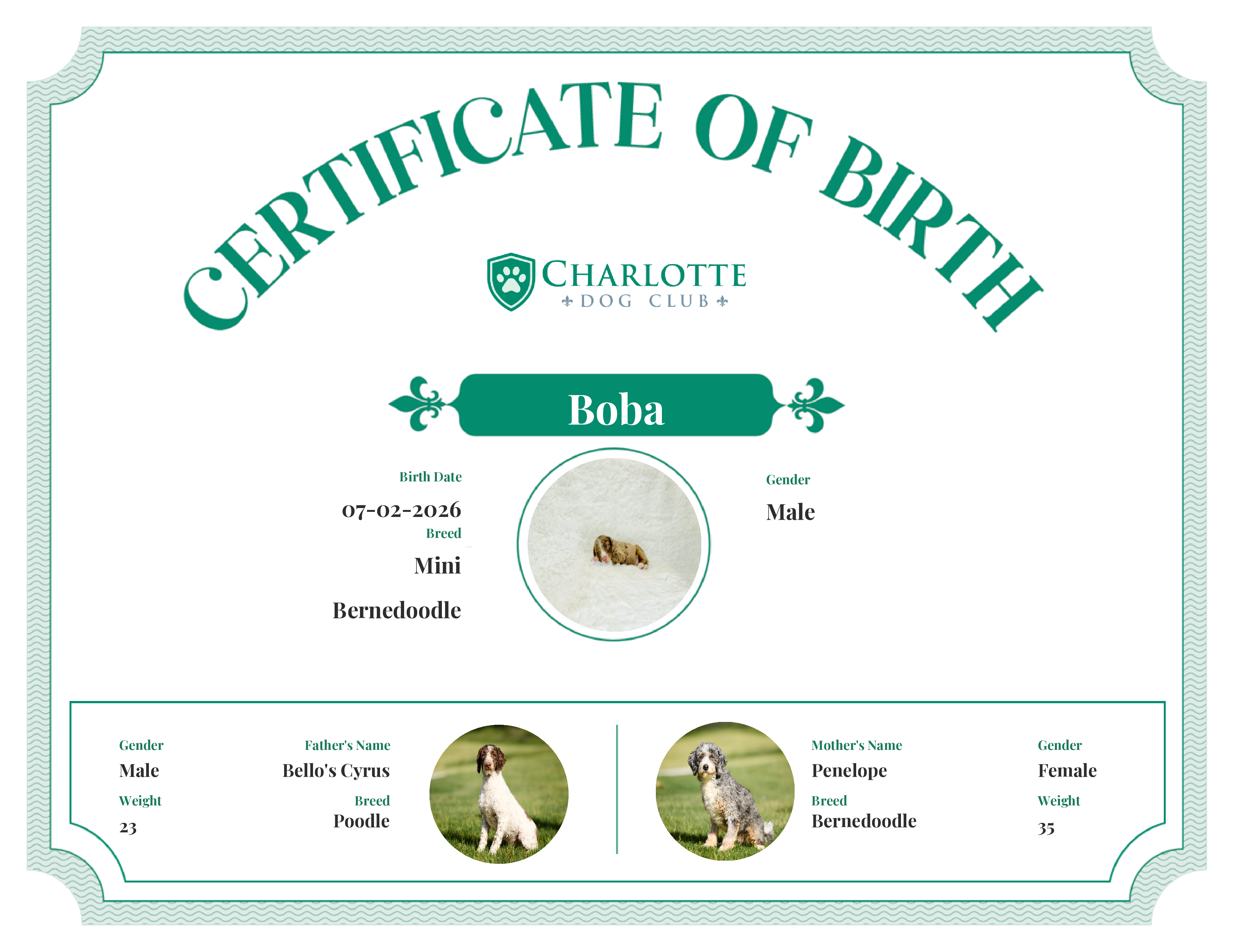 Boba's Birth Certificate