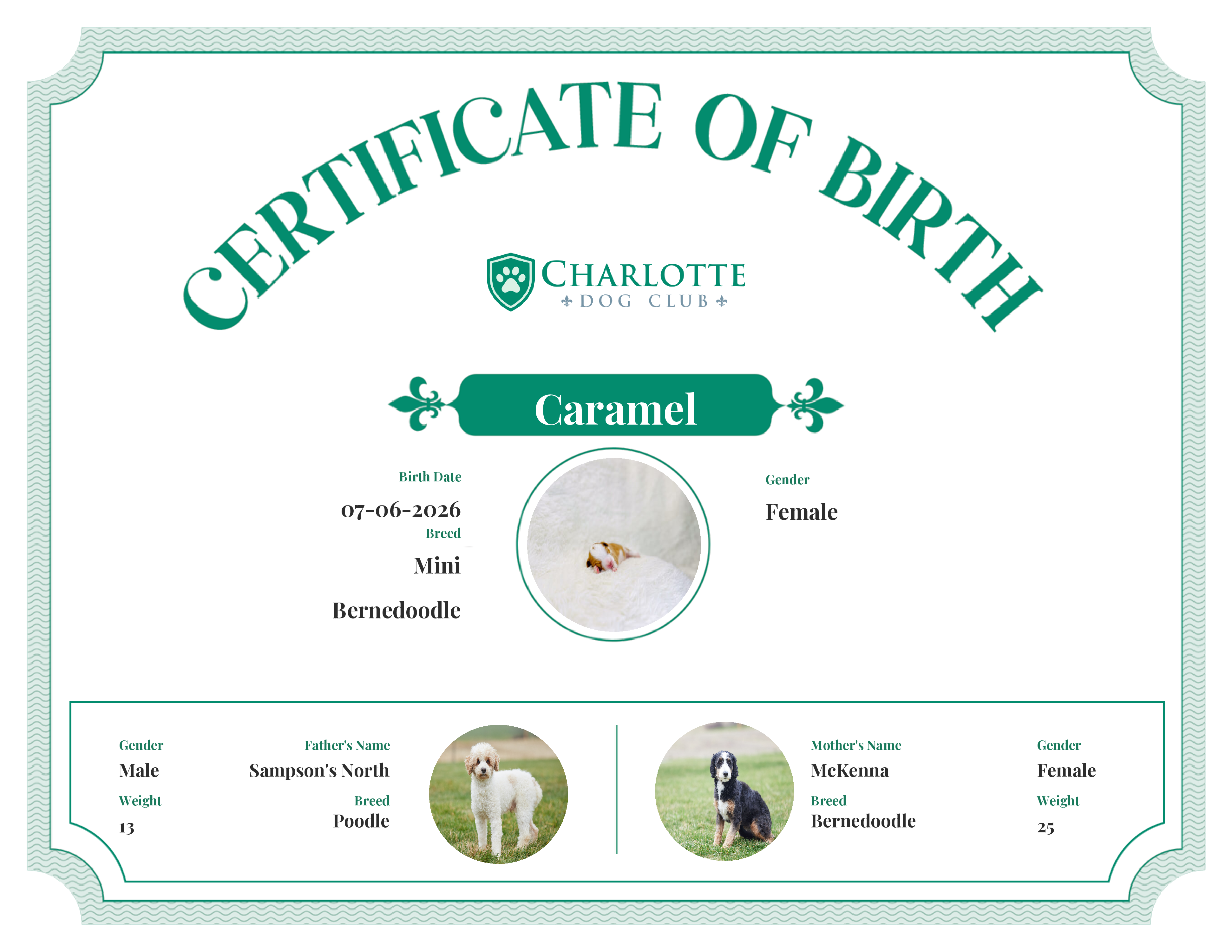 Caramel's Birth Certificate