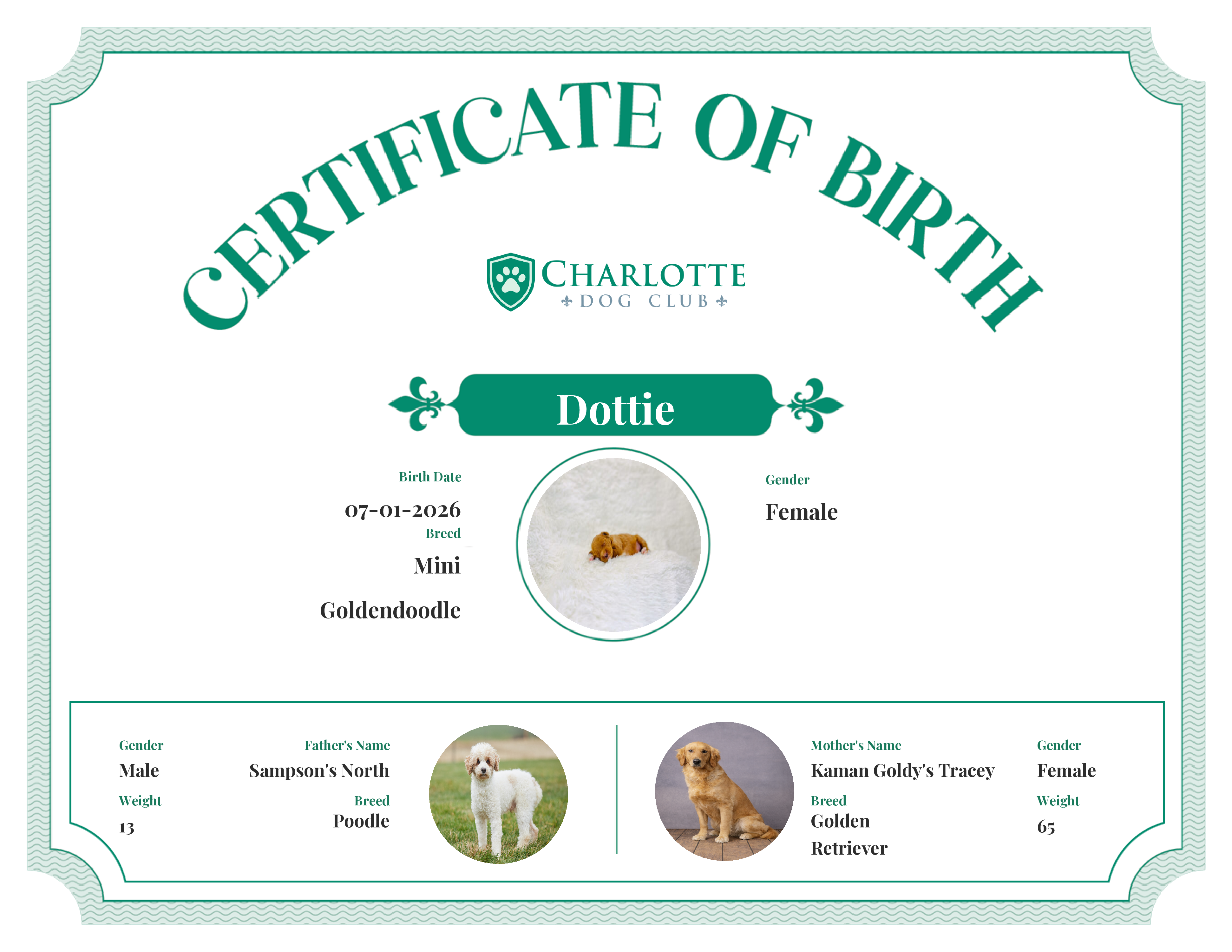Dottie's Birth Certificate