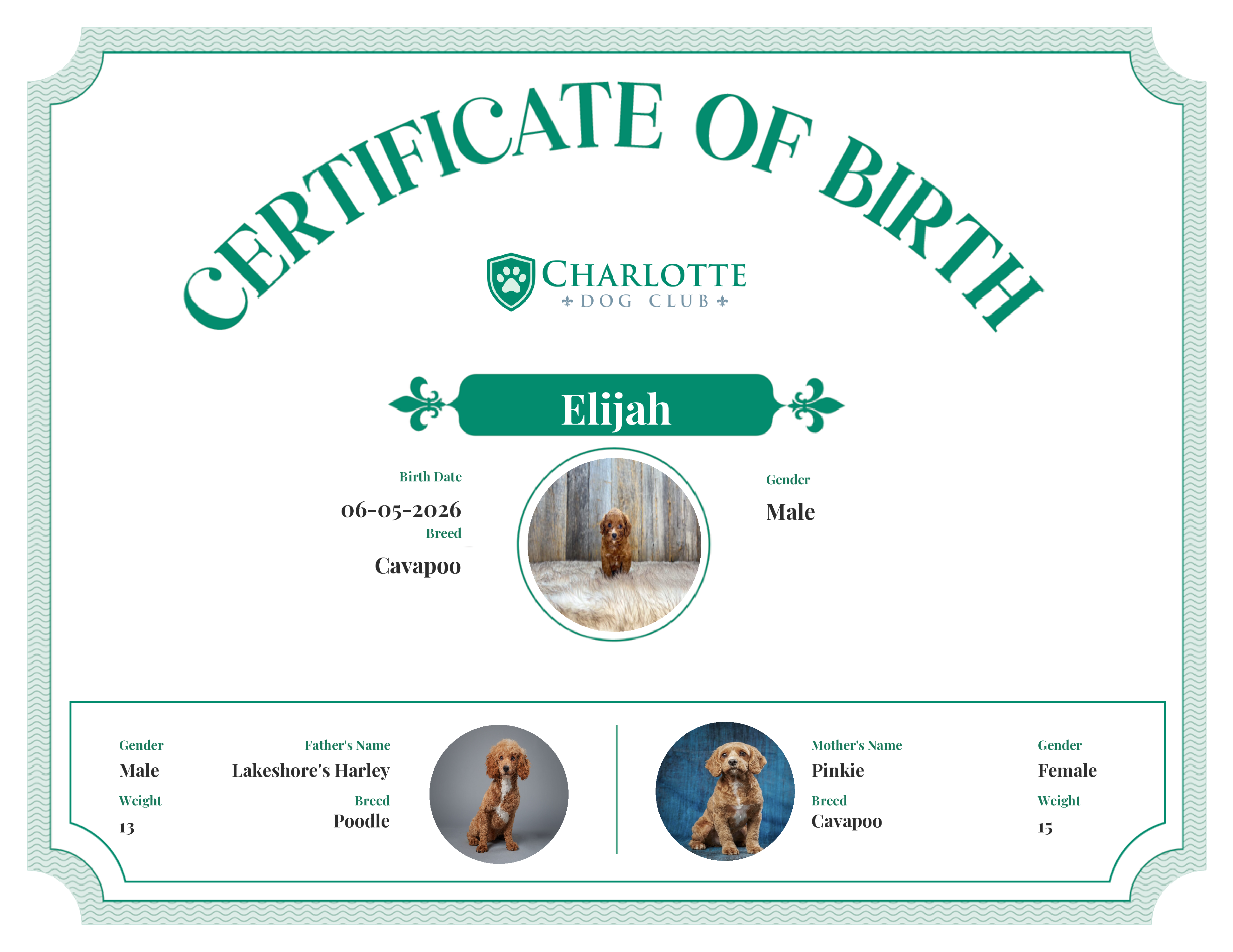 Elijah's Birth Certificate