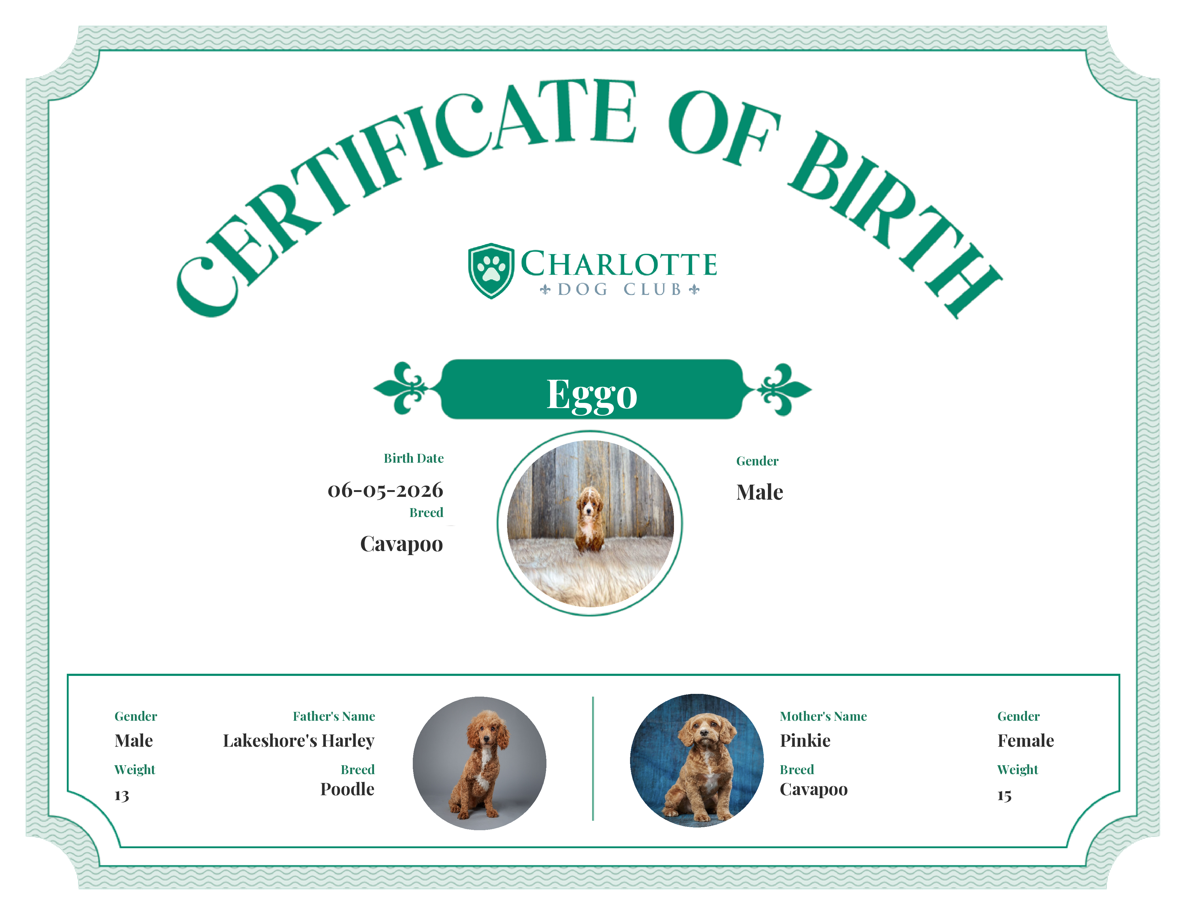 Eggo's Birth Certificate
