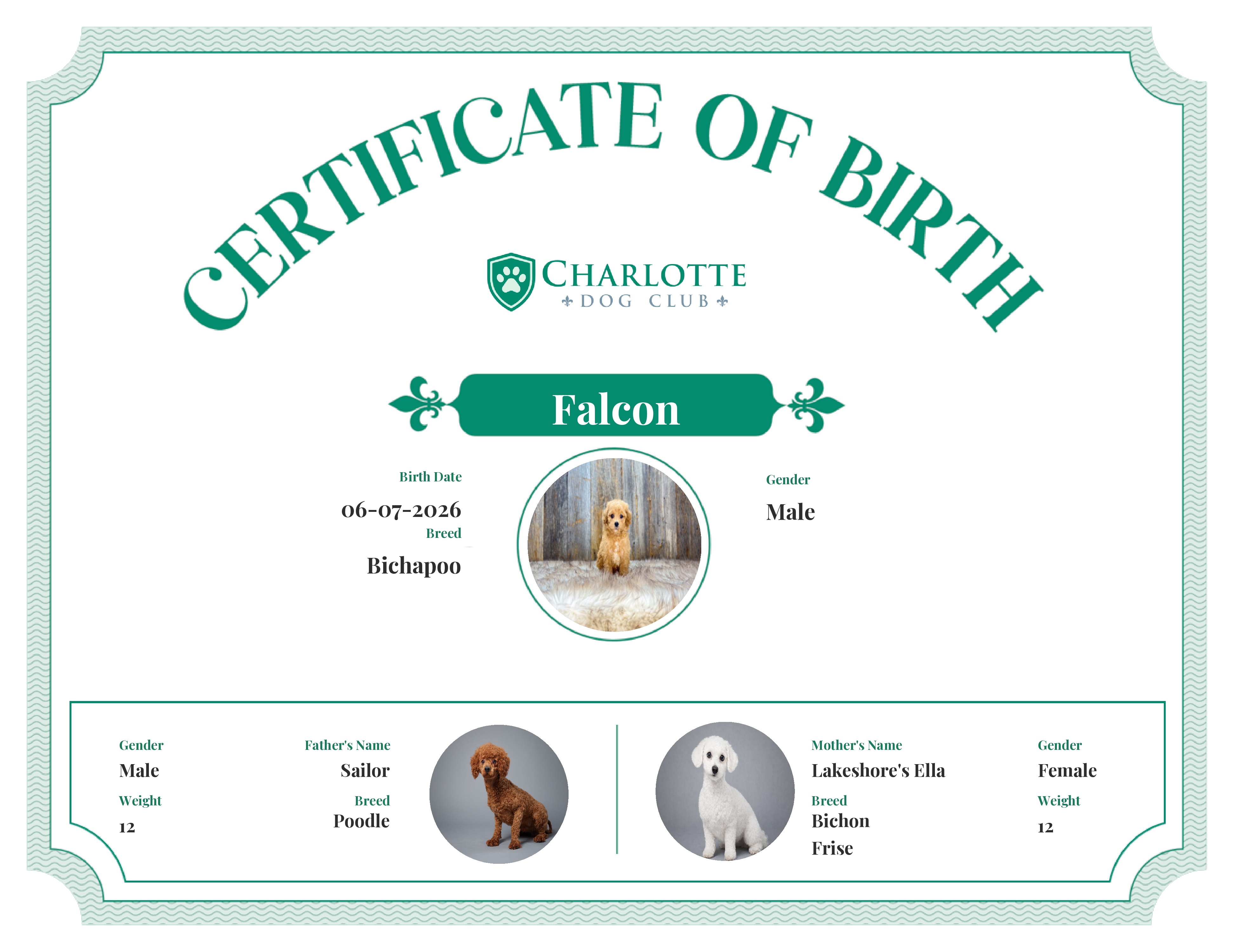 Falcon's Birth Certificate