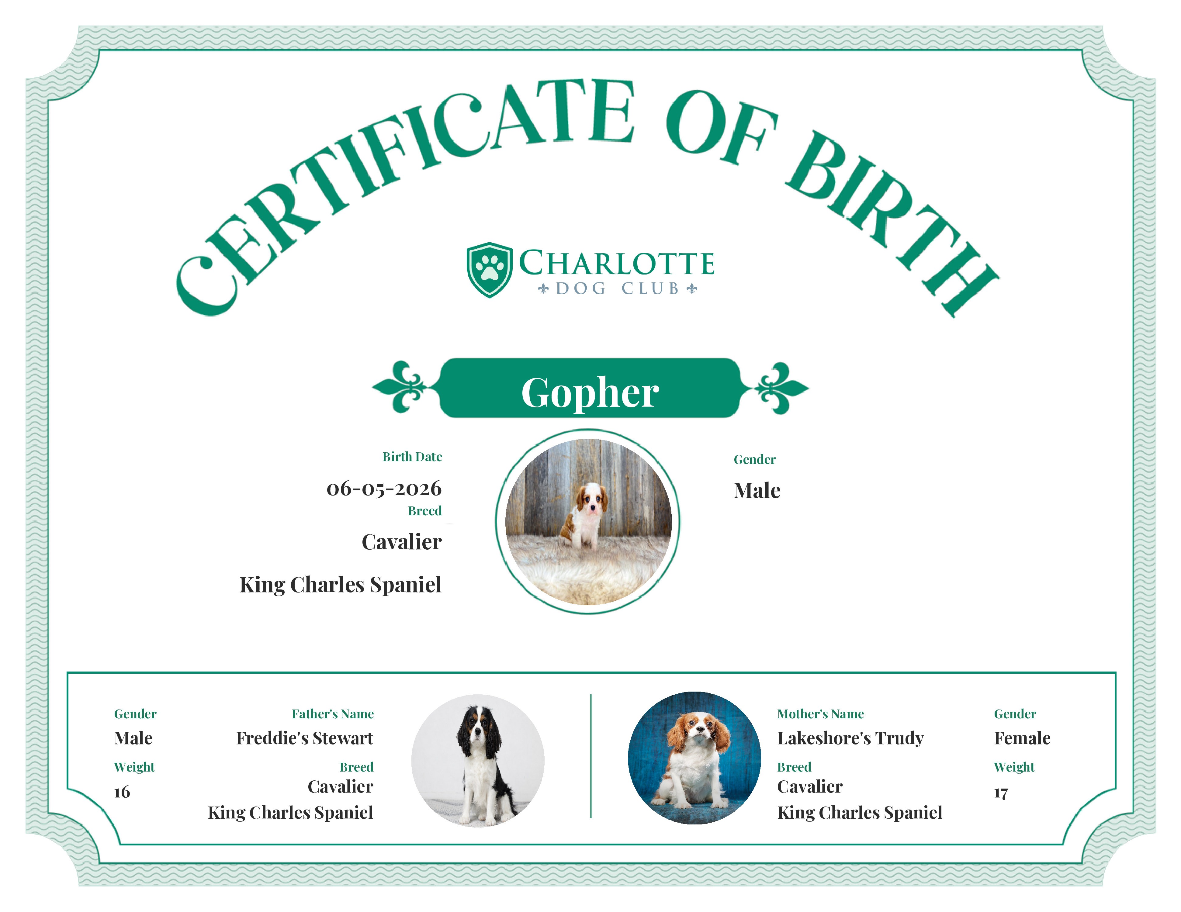 Gopher's Birth Certificate