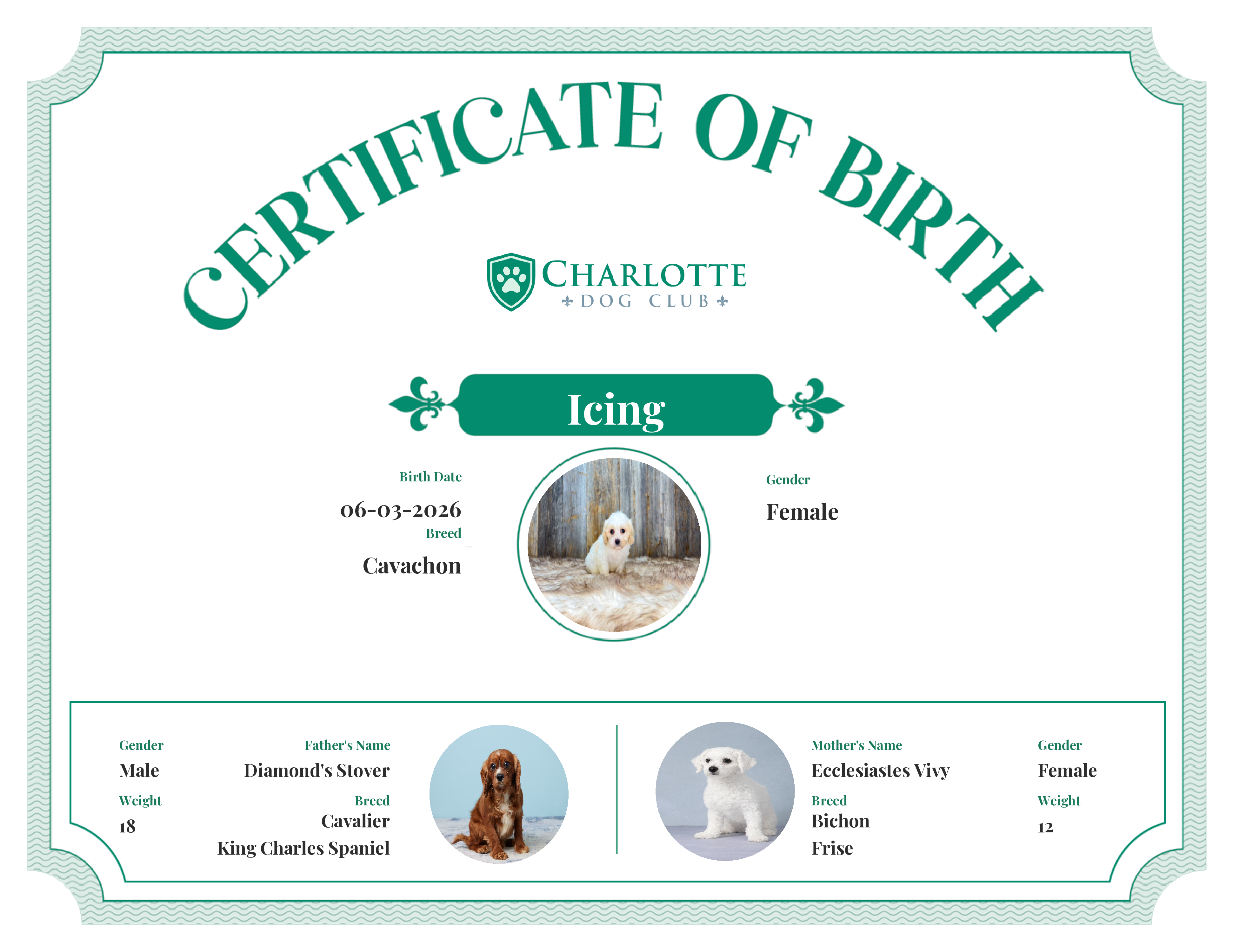 Icing's Birth Certificate