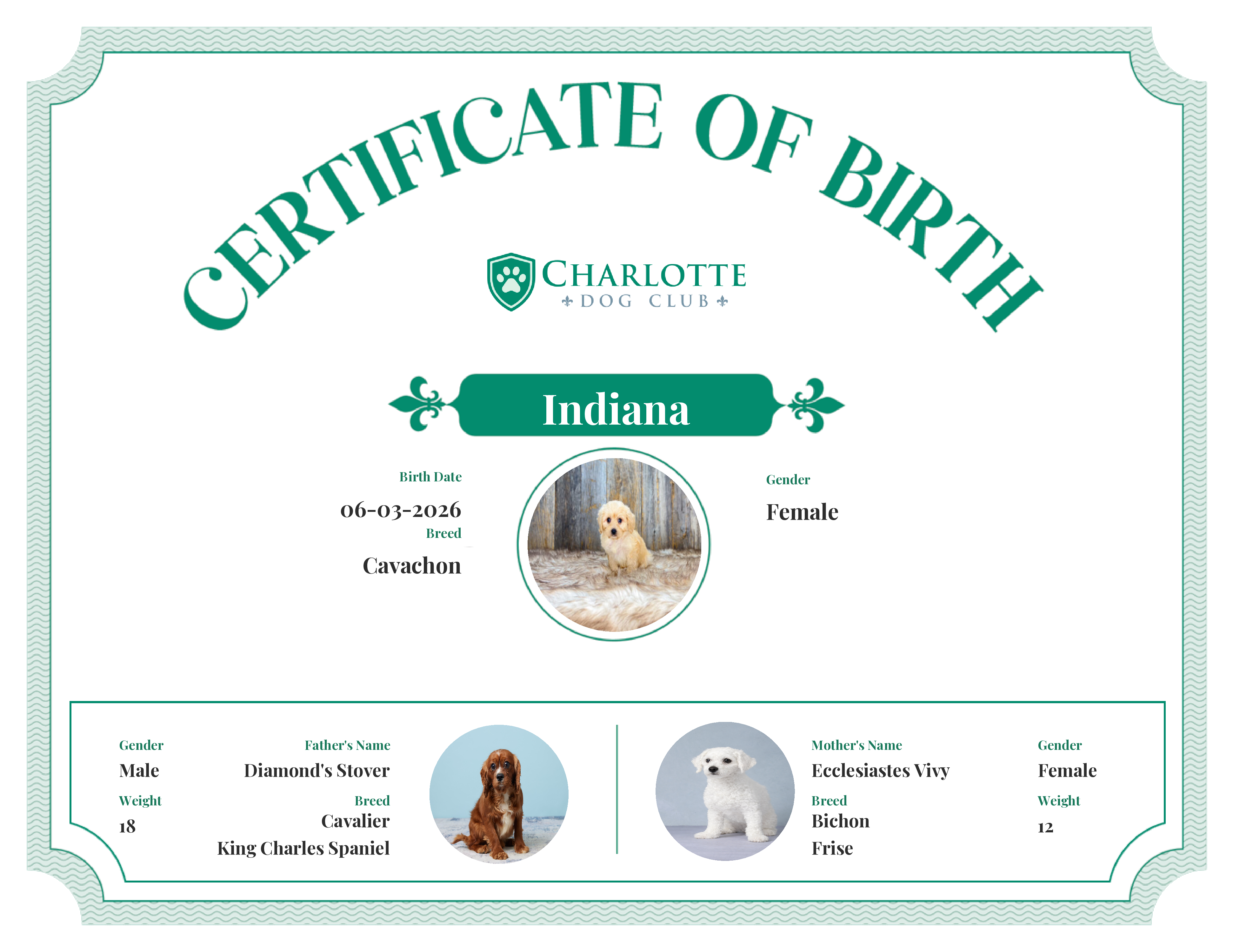 Indiana's Birth Certificate