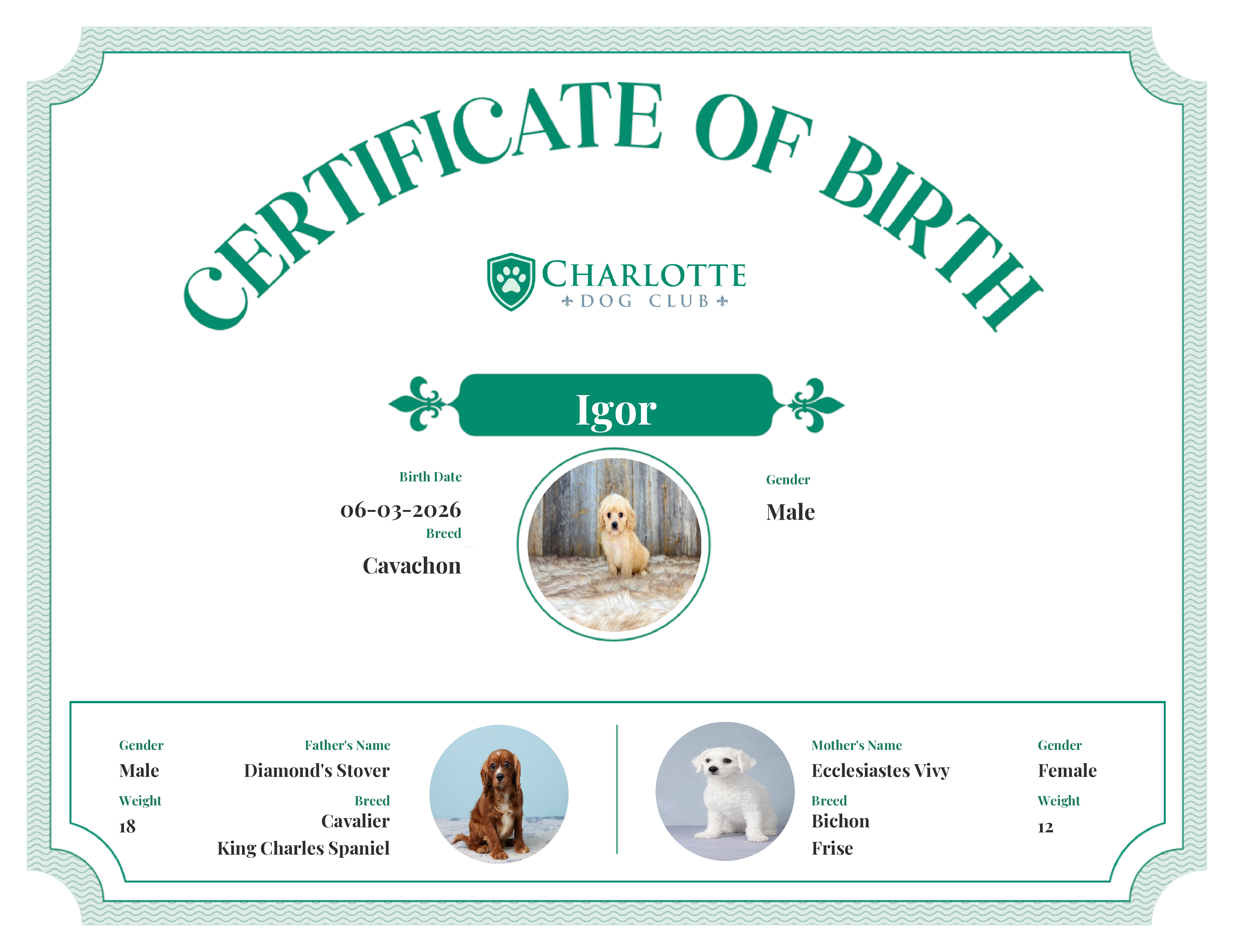 Igor's Birth Certificate
