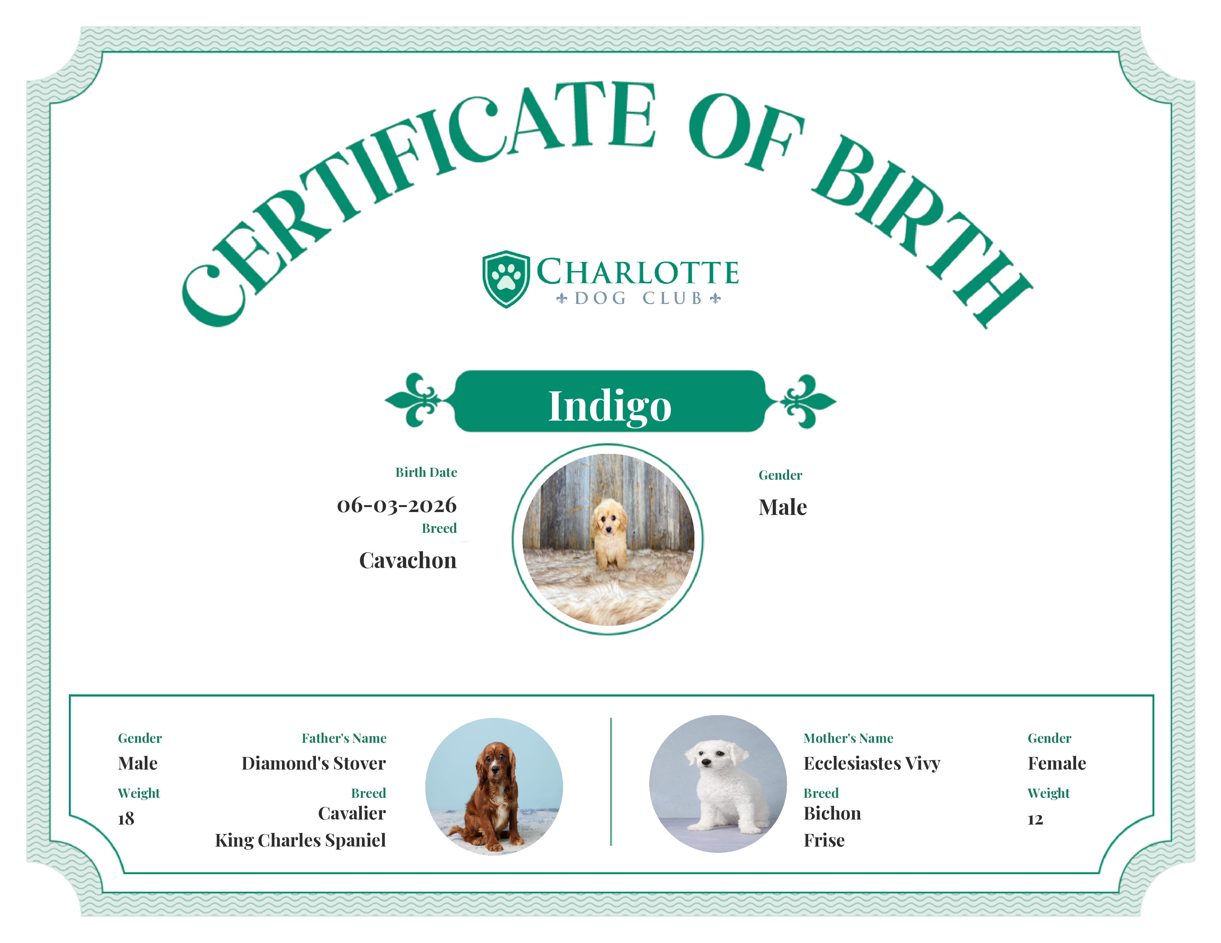Indigo's Birth Certificate