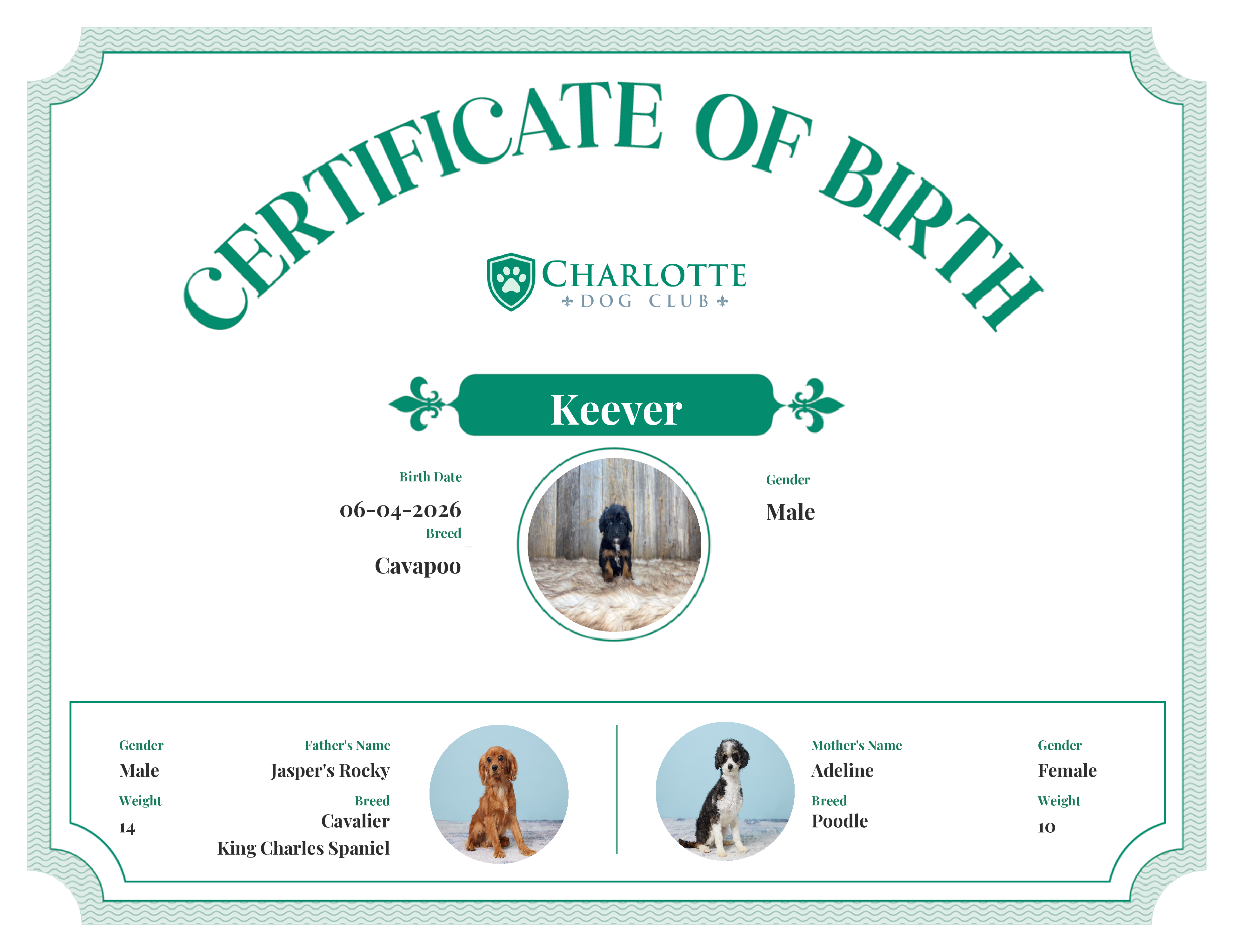 Keever's Birth Certificate