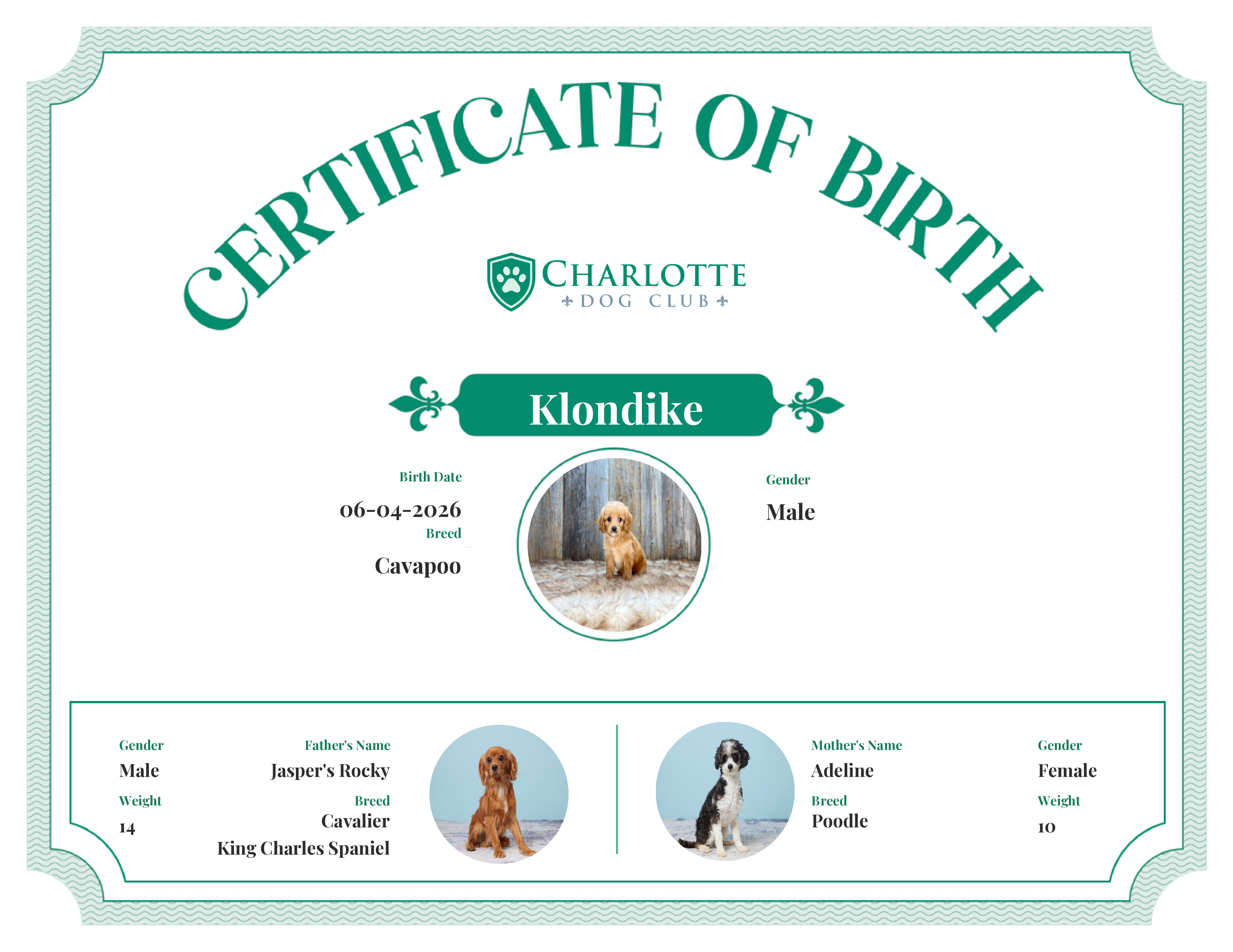 Klondike's Birth Certificate