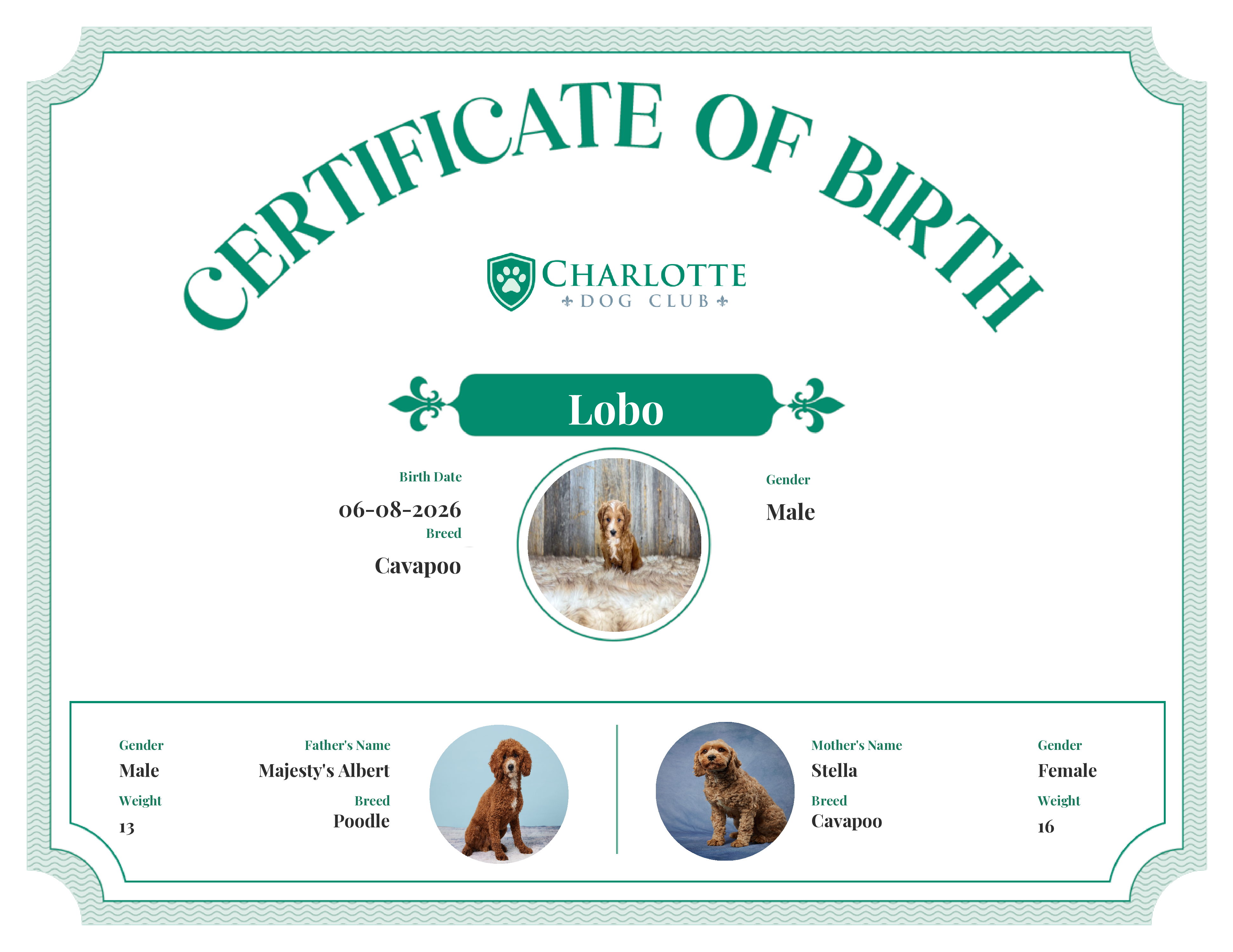 Lobo's Birth Certificate