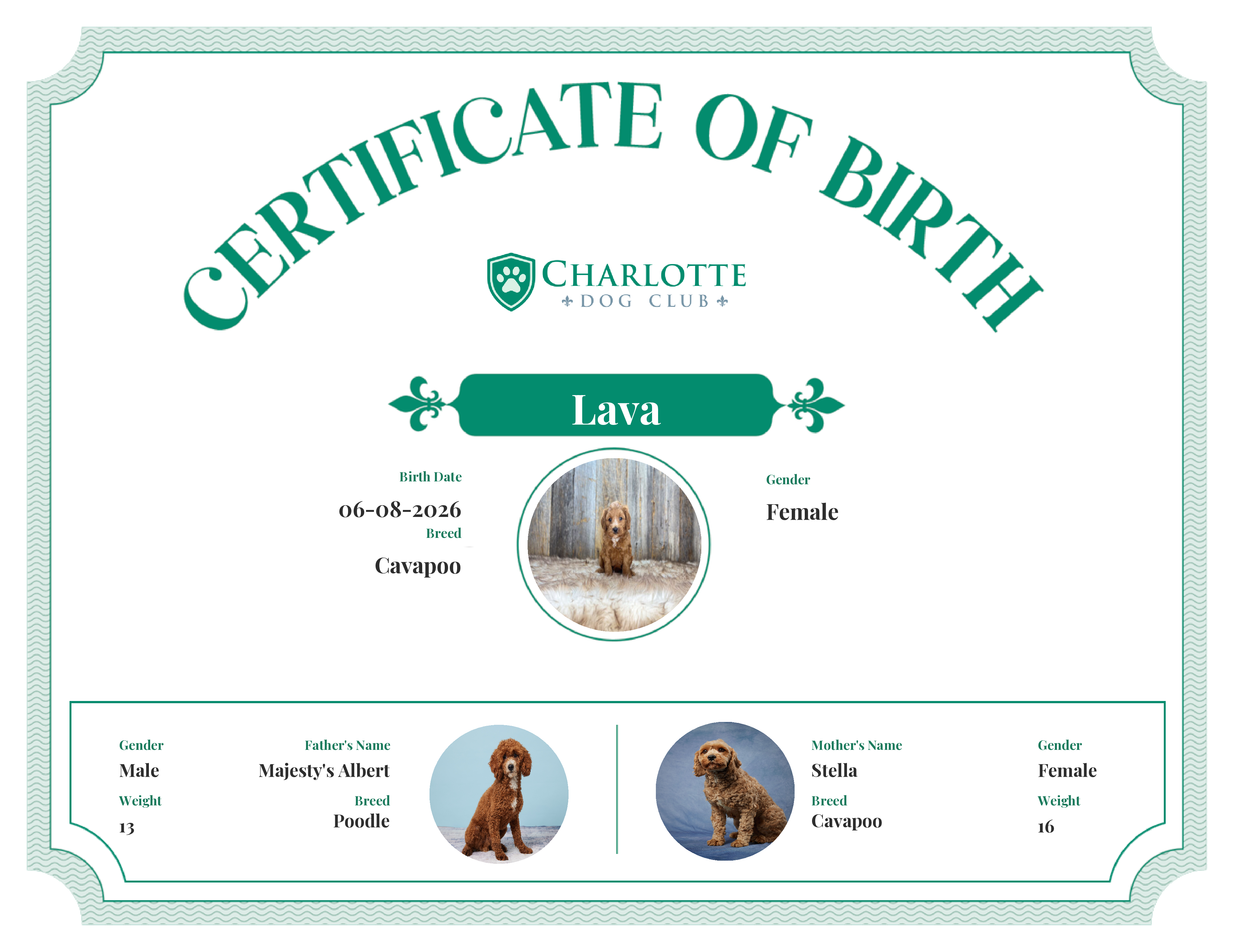 Lava's Birth Certificate