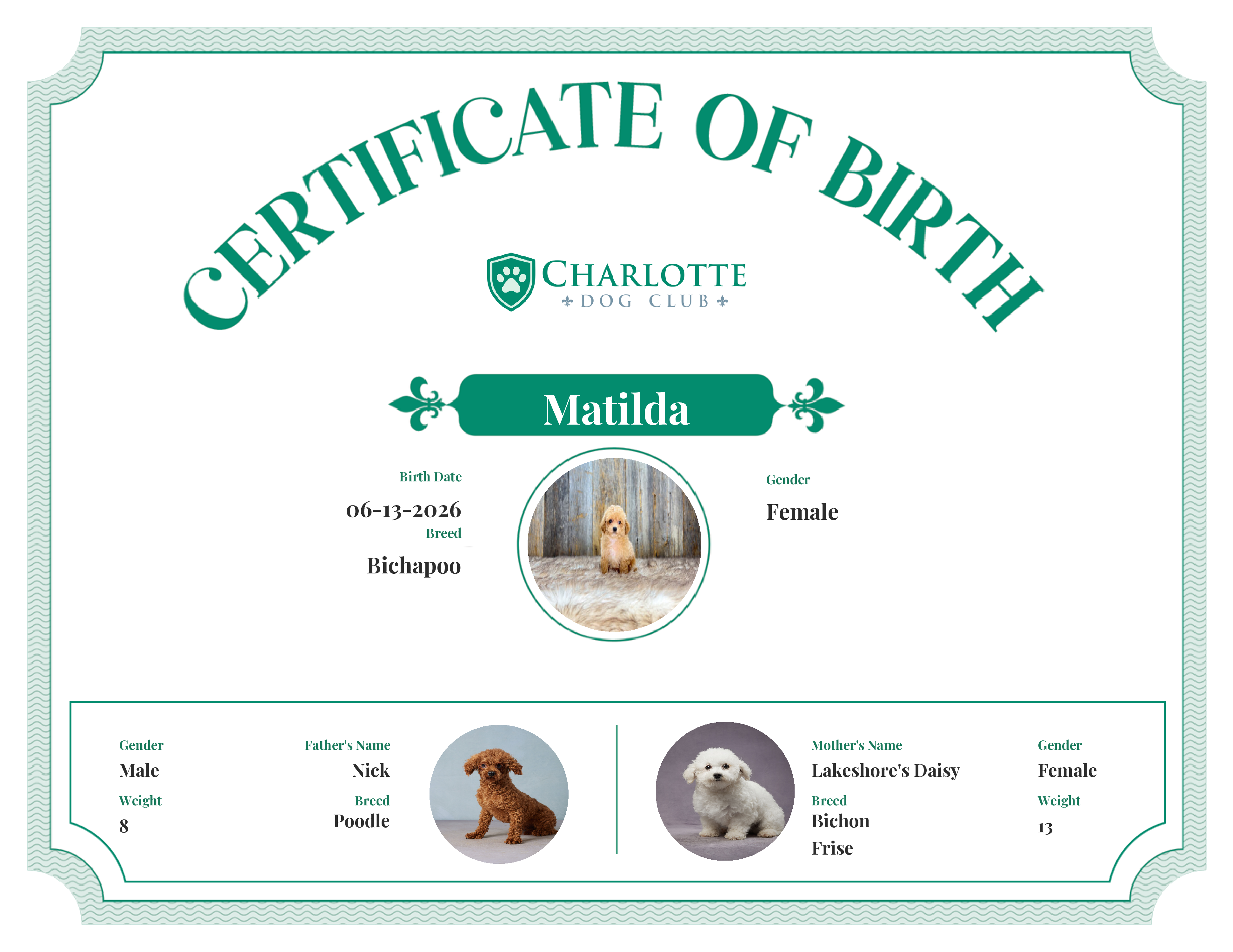 Matilda's Birth Certificate