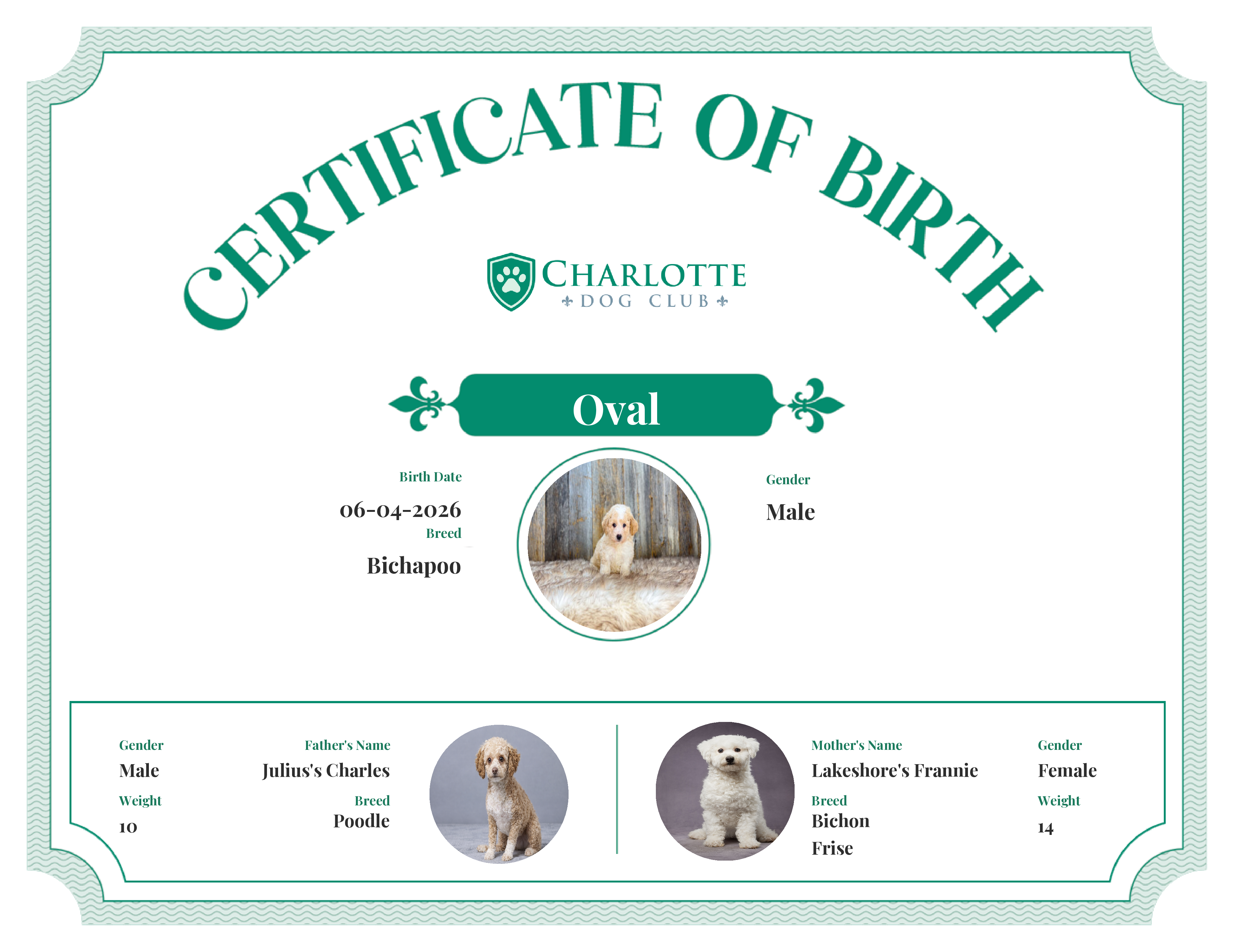 Oval's Birth Certificate