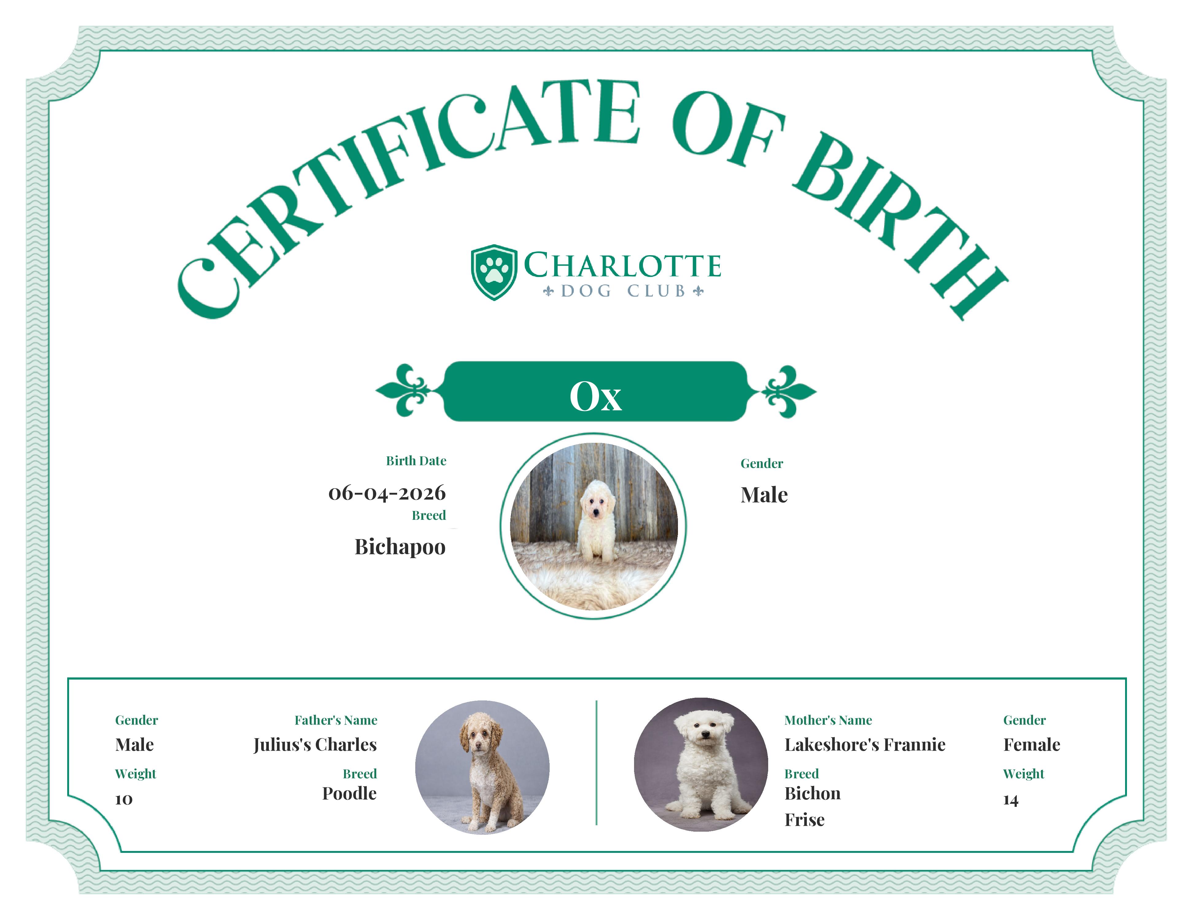 Ox's Birth Certificate